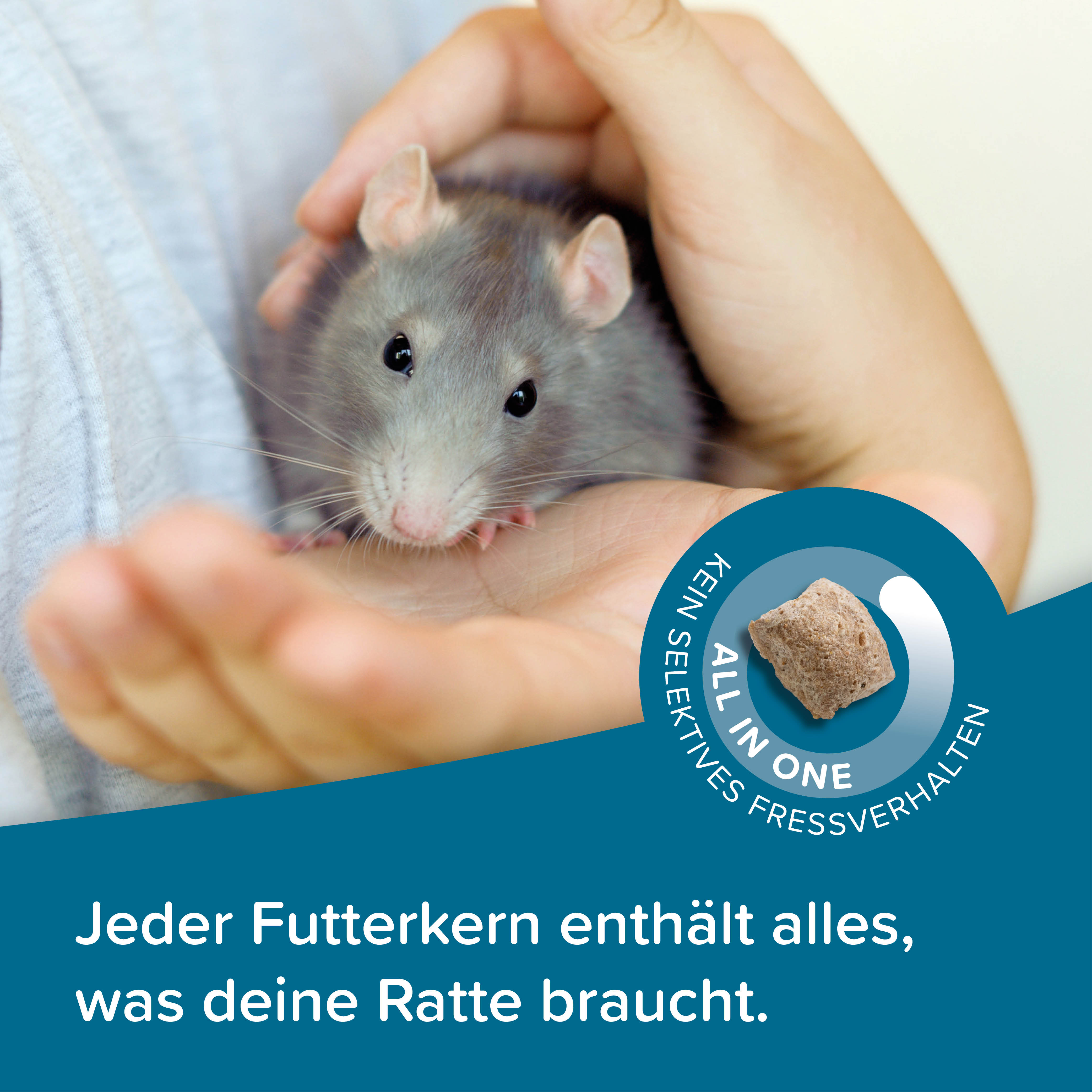 Beaphar Care+ Ratte, 1,5kg