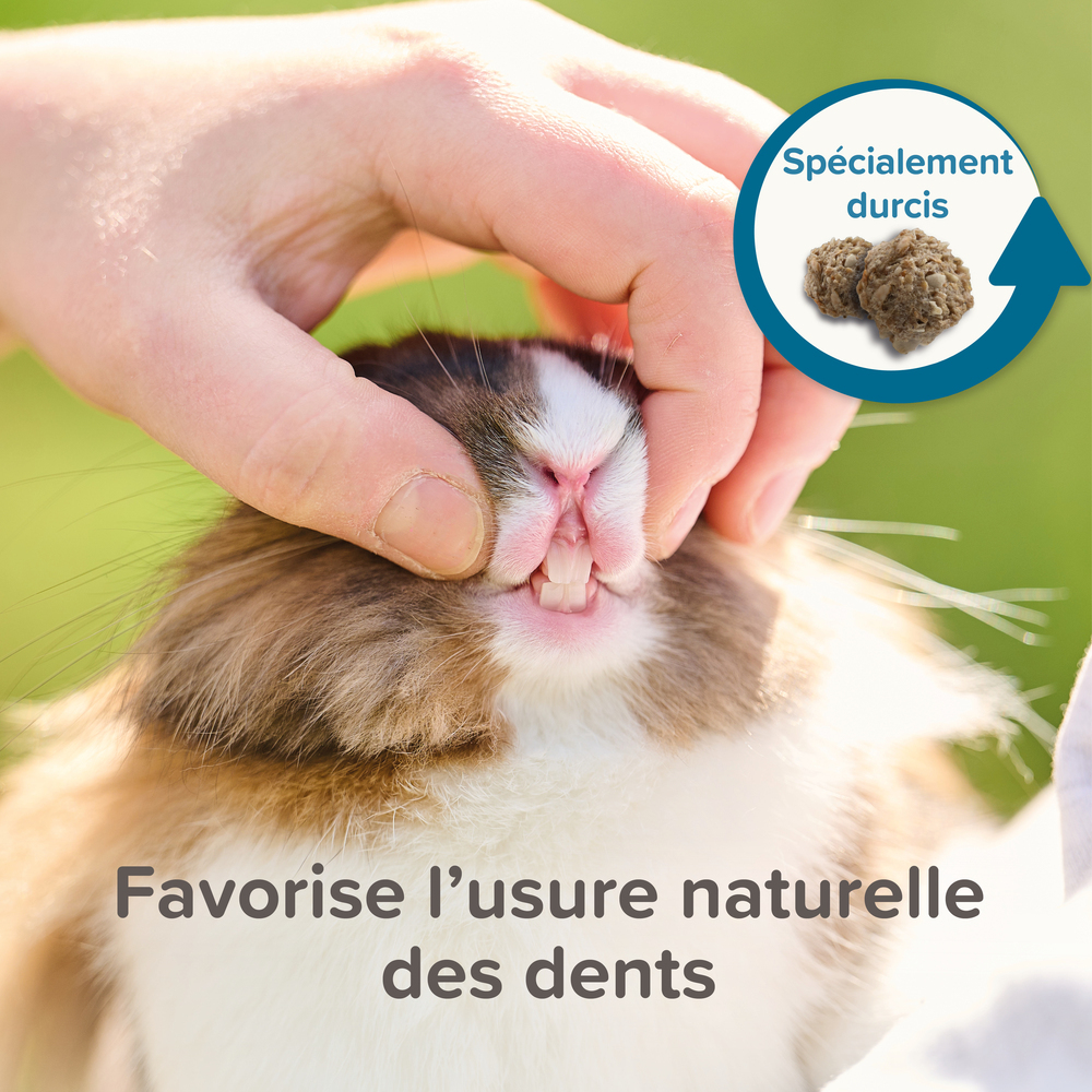 Care +, Alimentation extrudée super premium, Lapin junior