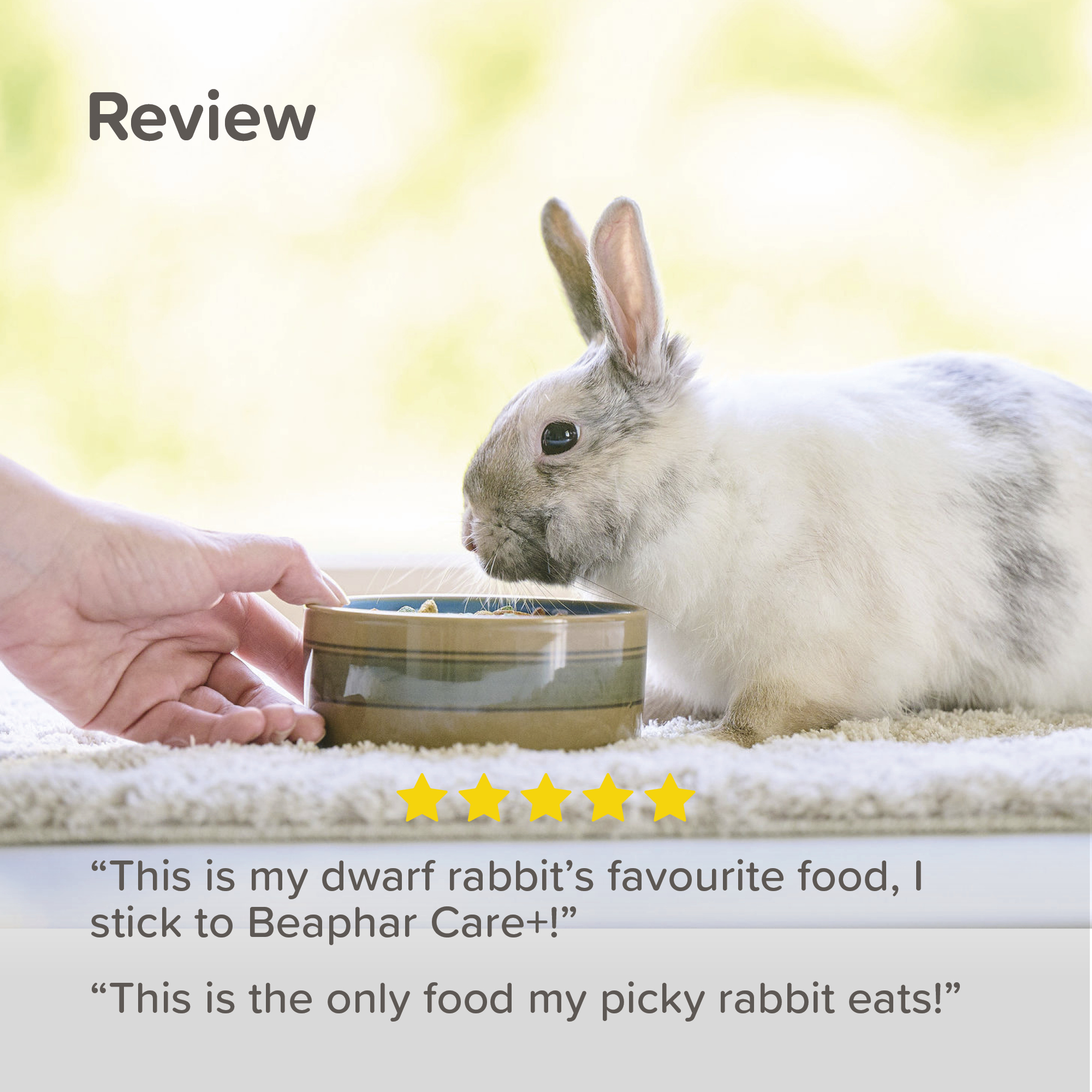 Beaphar CARE+® Food for Junior Rabbits