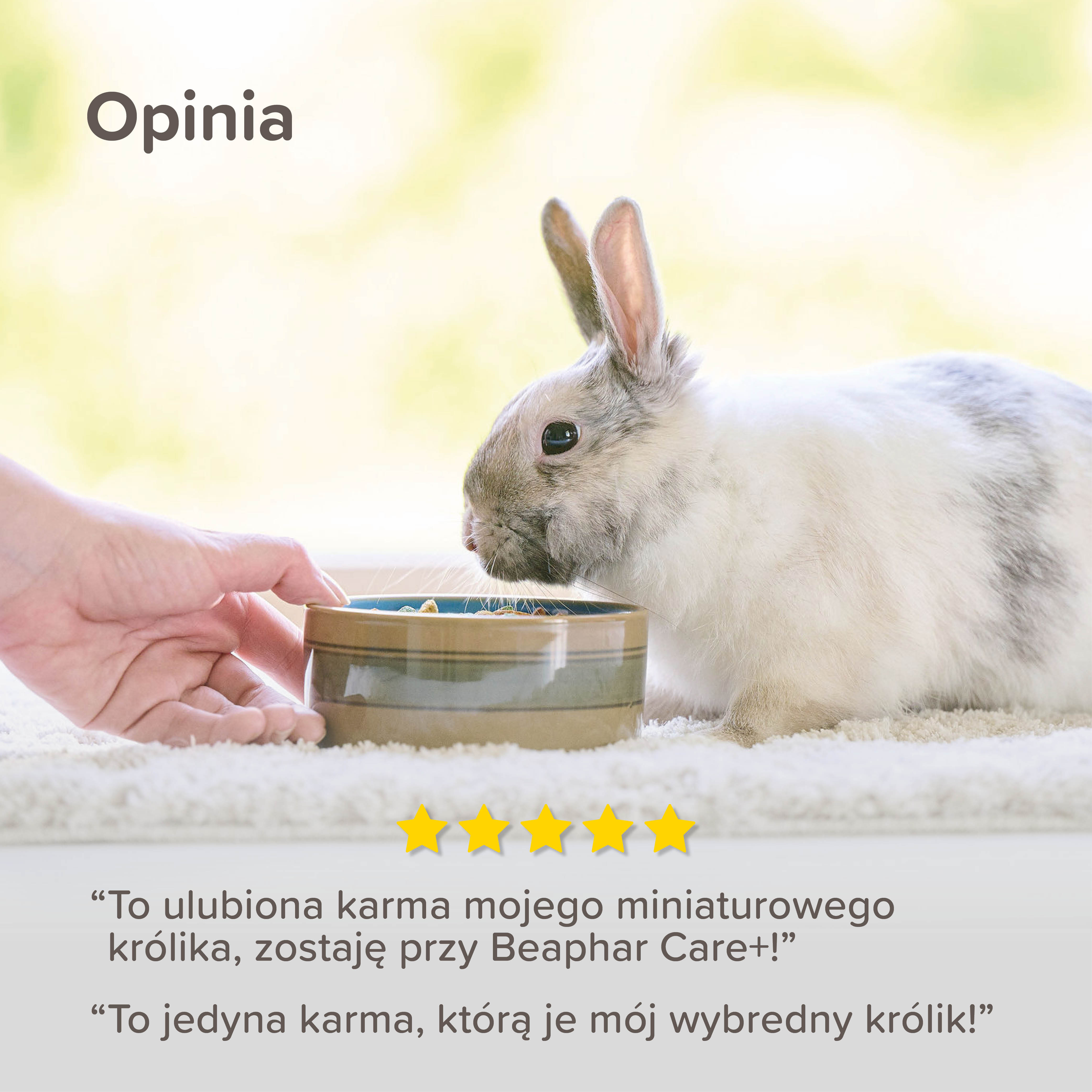 CARE+ RABBIT JUNIOR 1,5KG - karma dla młodych królików