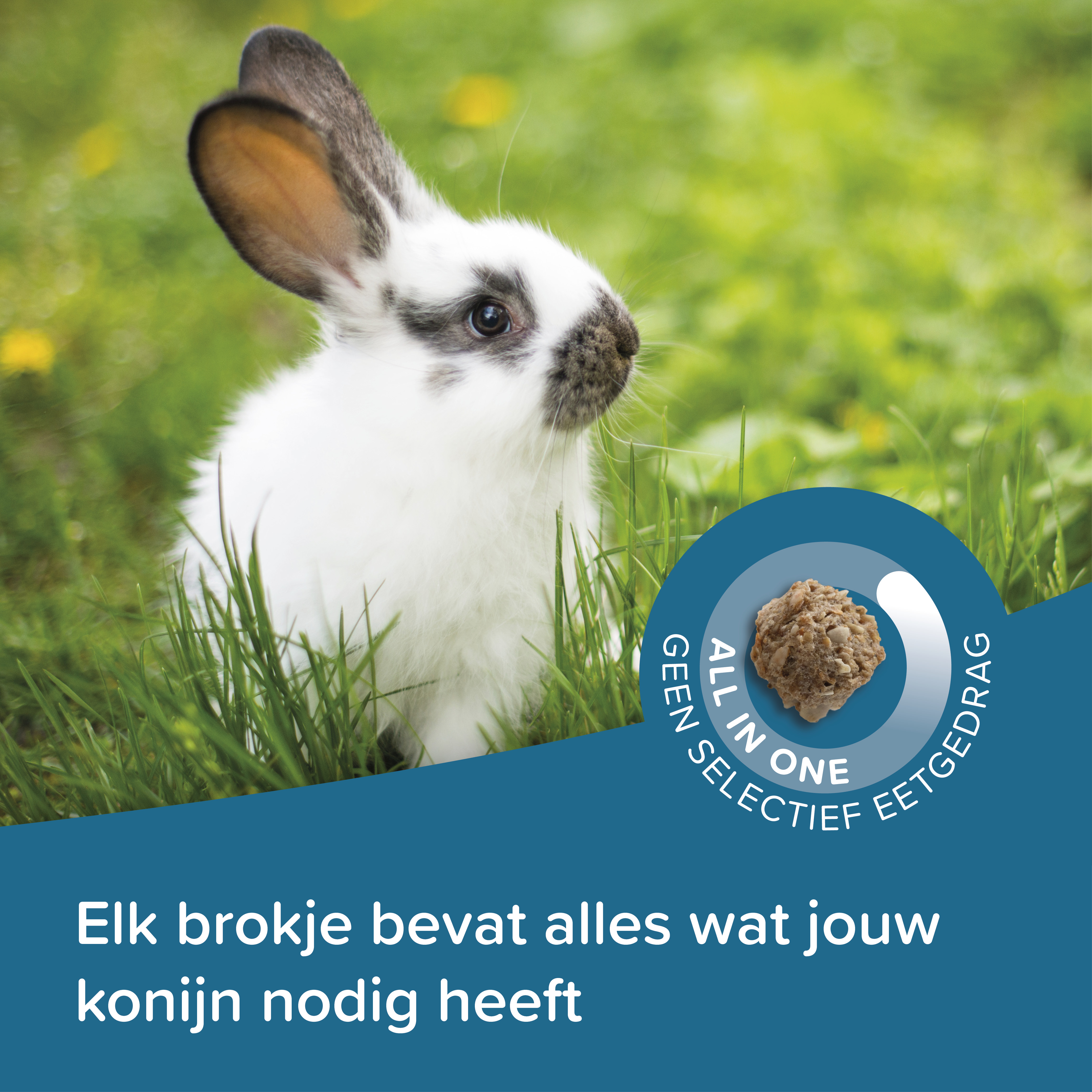 Beaphar Care+ Konijn Junior 1,5kg