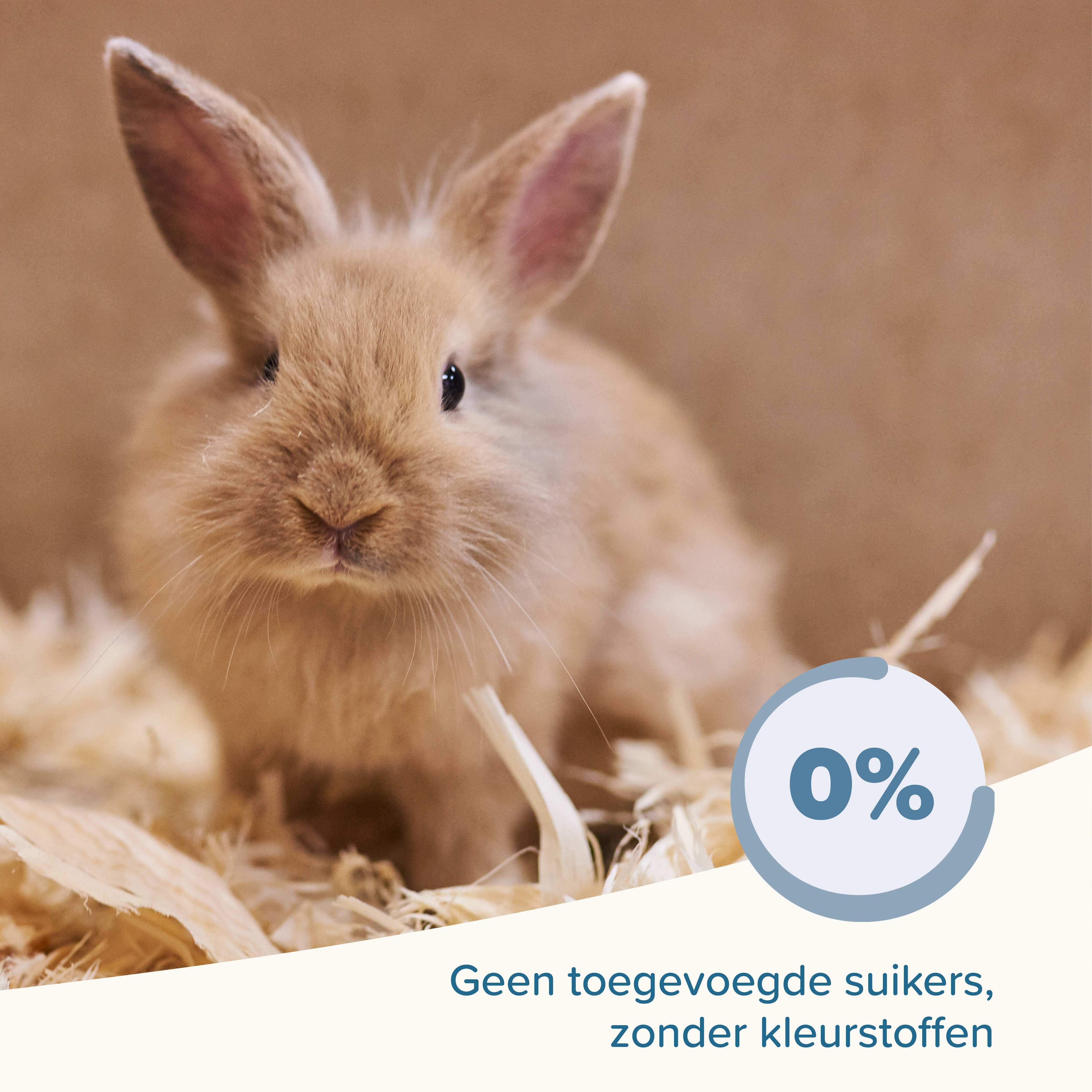 Beaphar Care+ Konijn Junior 1,5kg