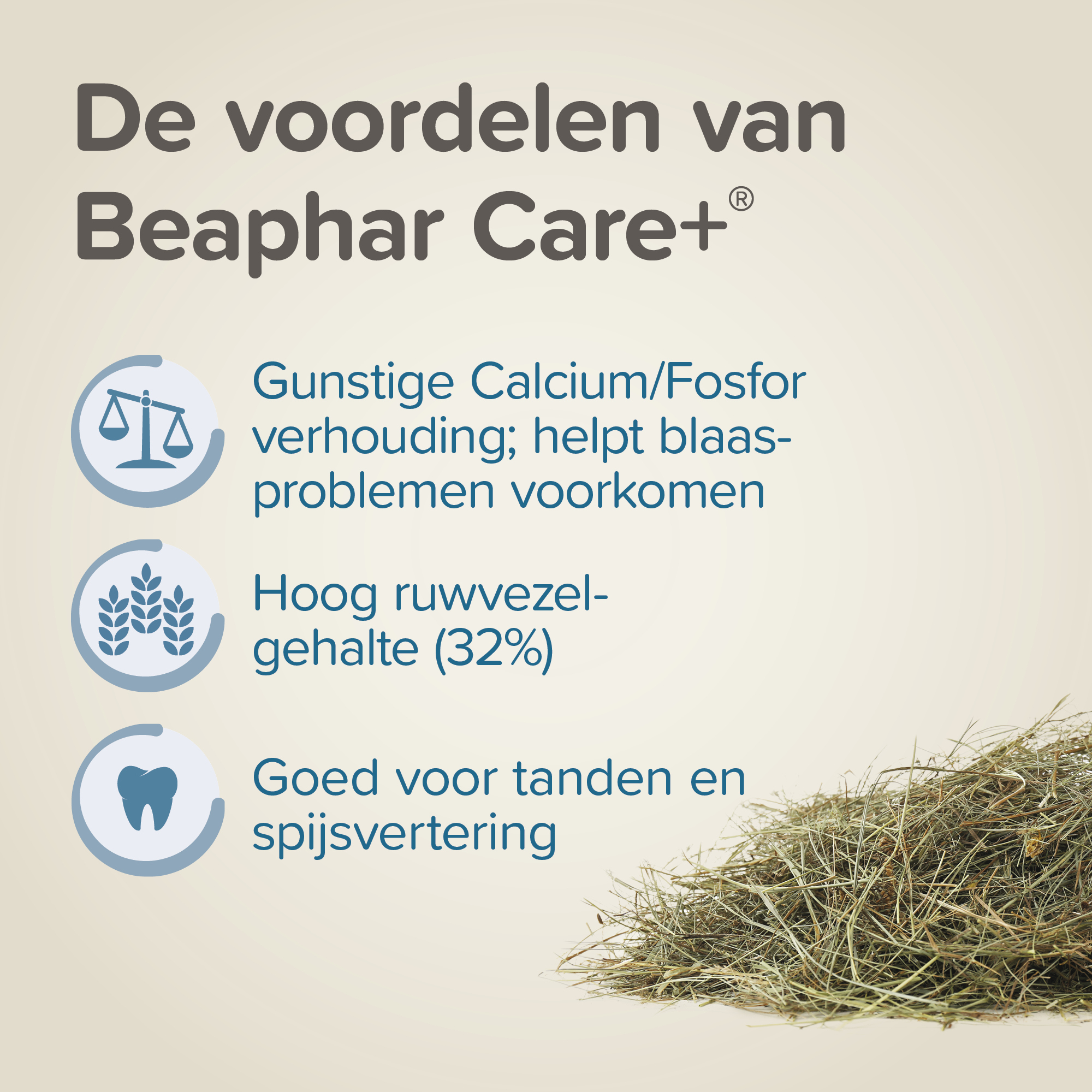 Beaphar Care+ Timothy hooi 1kg