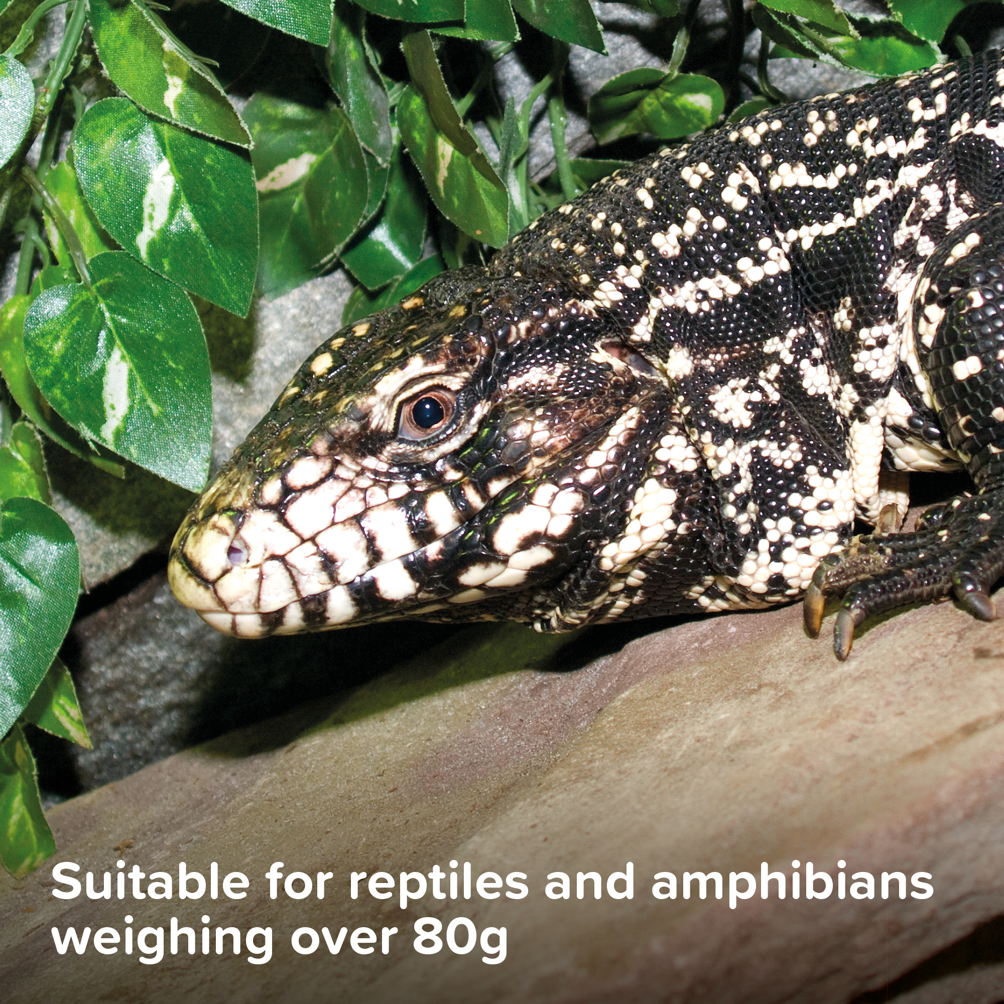 Beaphar Mite Spray for Reptiles, 50ml