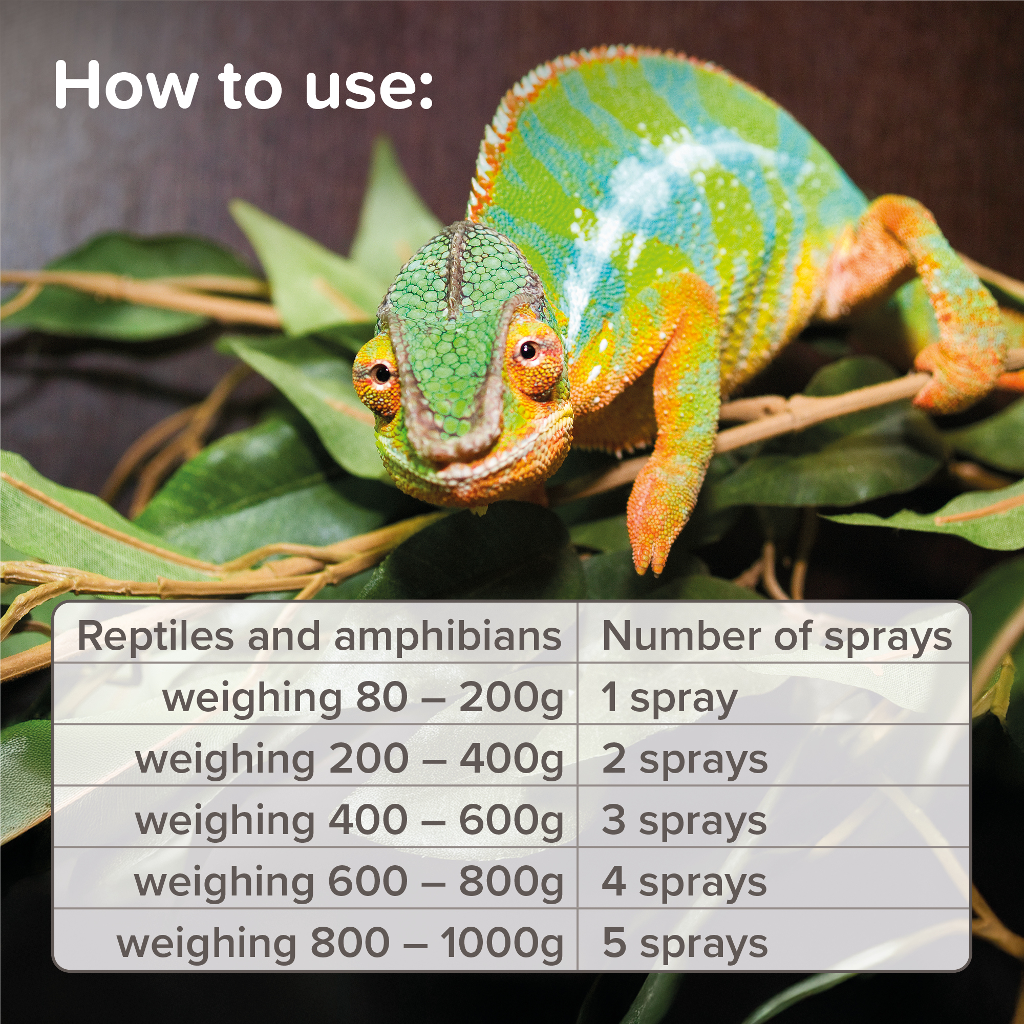 Beaphar Mite Spray for Reptiles, 50ml