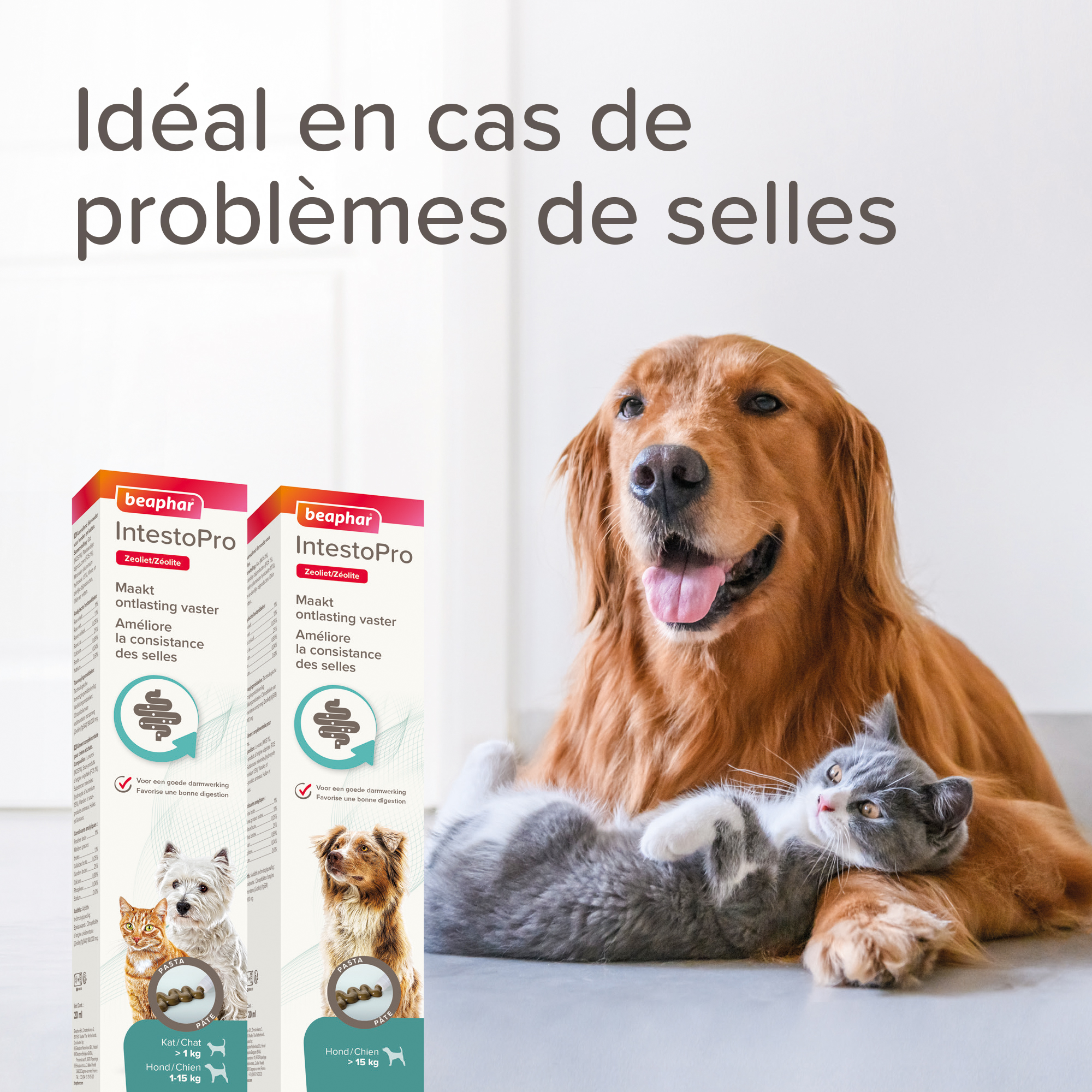 IntestoPro, pâte pour améliorer la consistance des selles pour chats et chiens