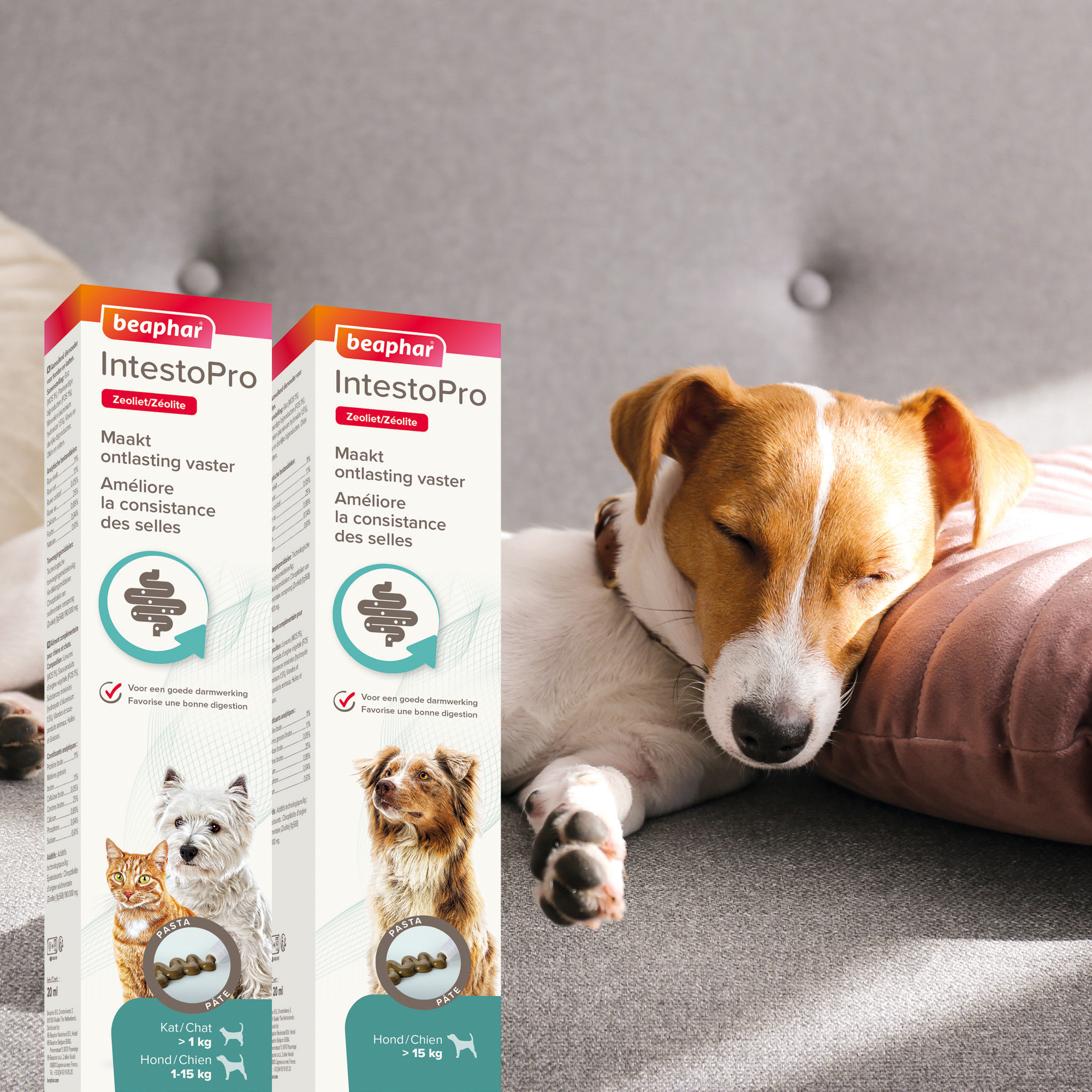Beaphar IntestoPro Pasta kat/hond tot 15kg 20ml