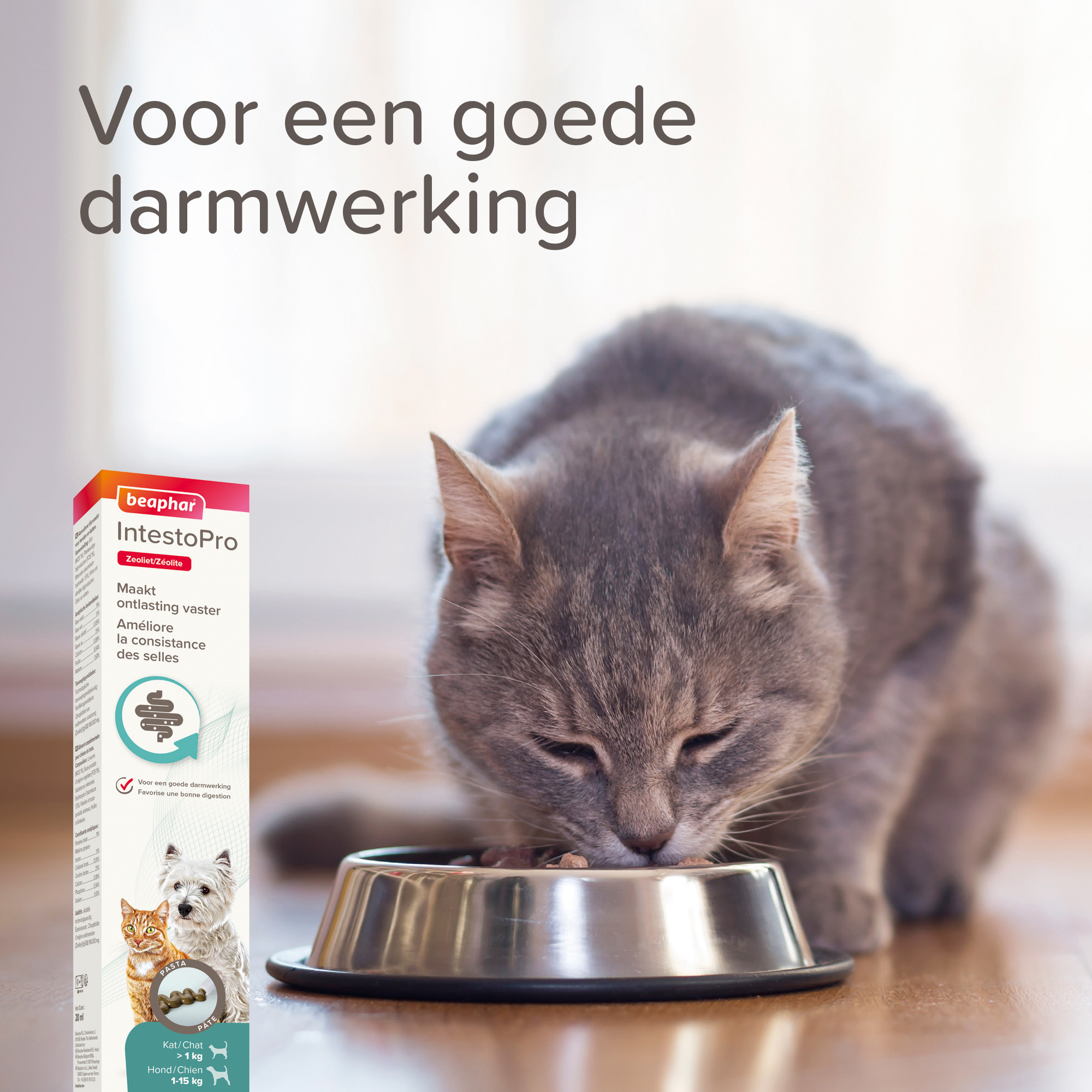 Beaphar IntestoPro Pasta kat/hond tot 15kg 20ml