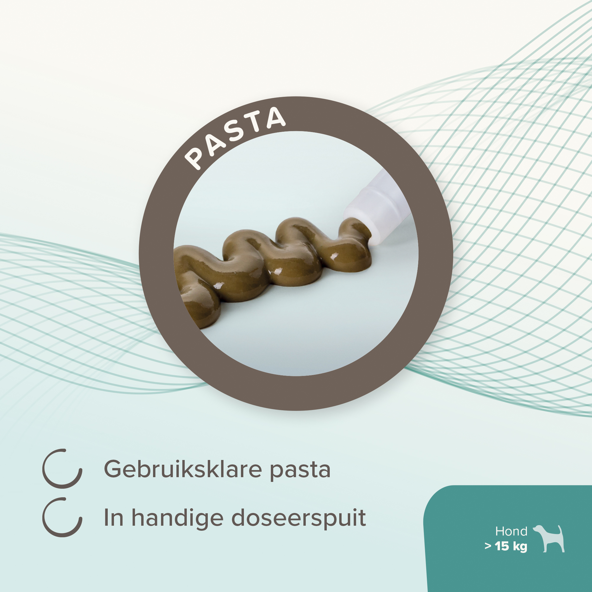 Beaphar IntestoPro Pasta hond vanaf 15kg 2x20ml