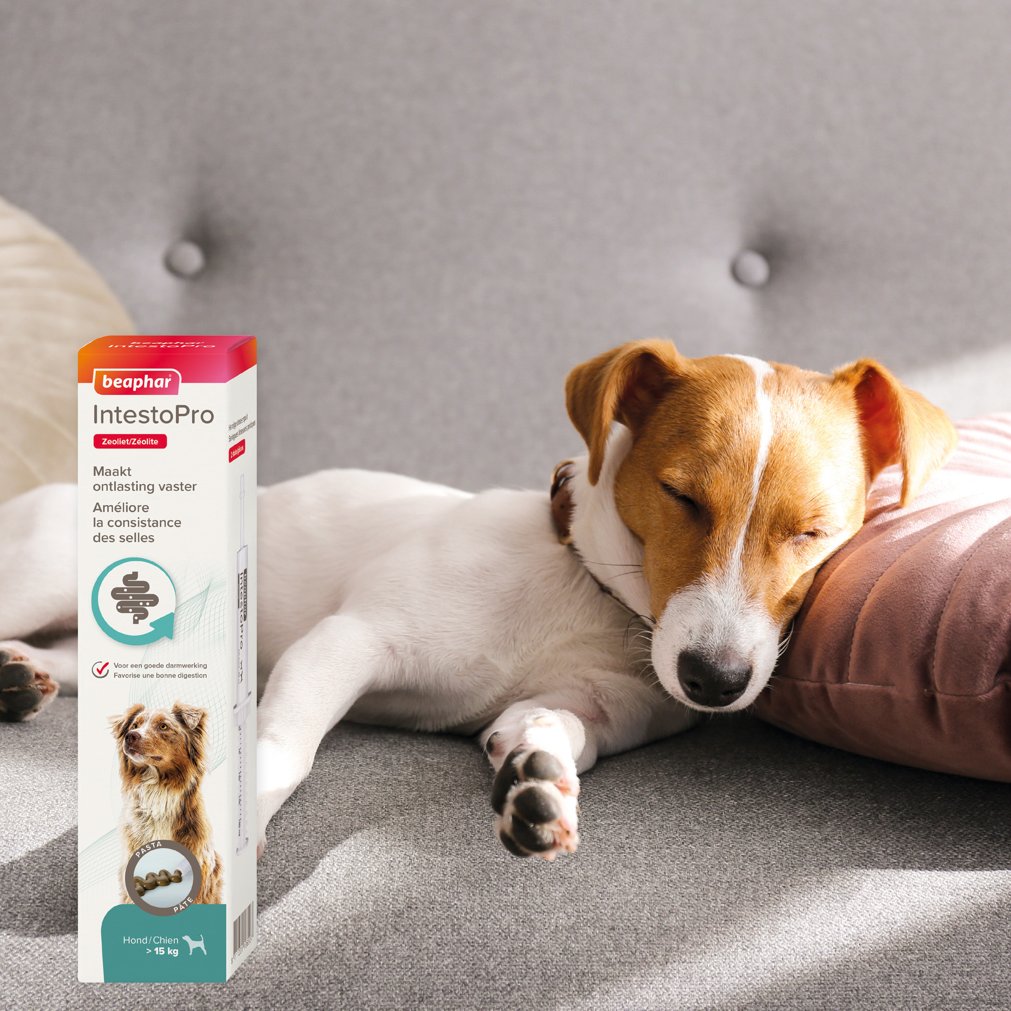 Beaphar IntestoPro Pasta hond vanaf 15kg 2x20ml