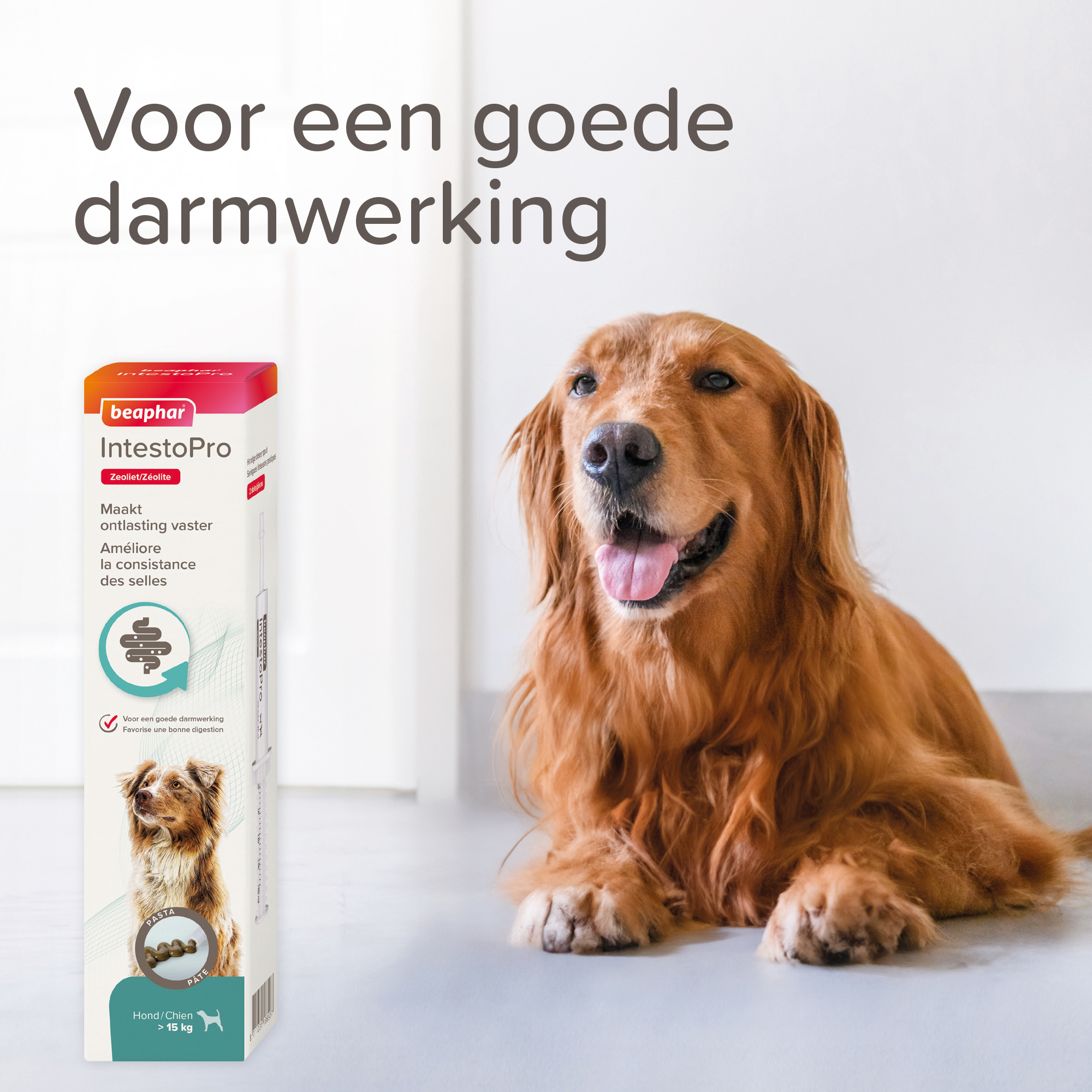 Beaphar IntestoPro Pasta hond vanaf 15kg 2x20ml