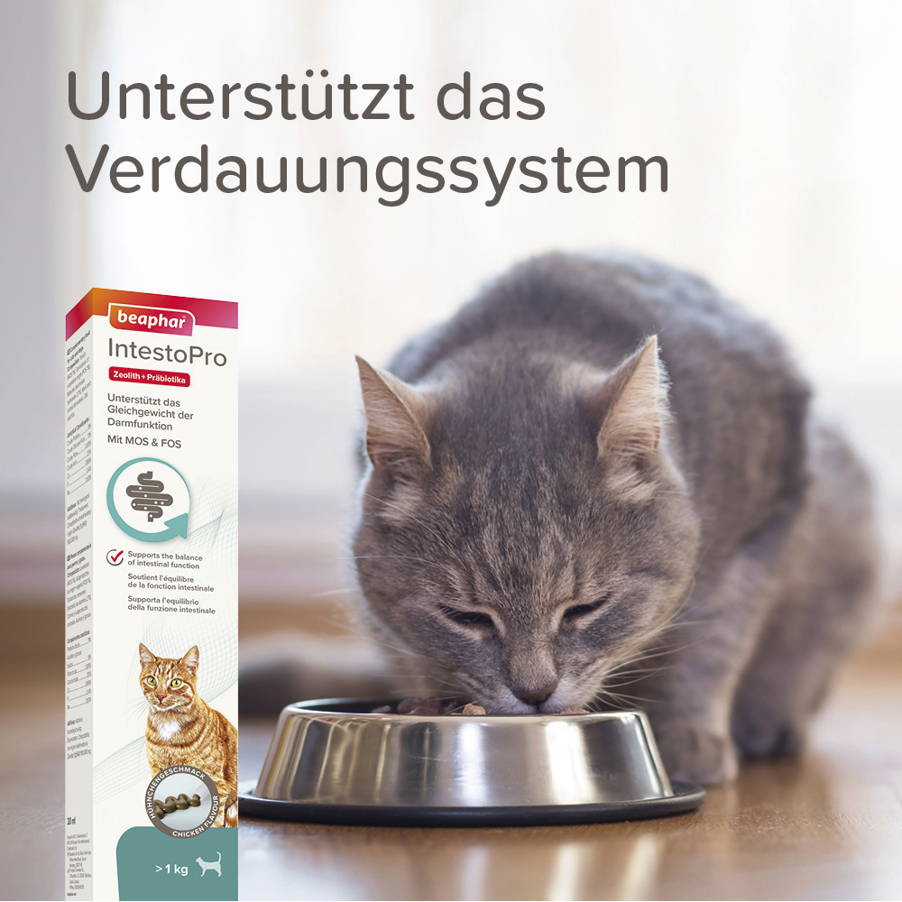 Beaphar IntestoPro Paste für Katzen, 20ml