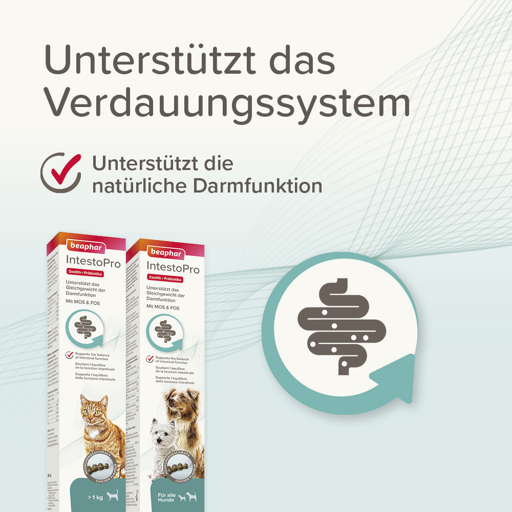 Beaphar IntestoPro Paste für Katzen, 20ml