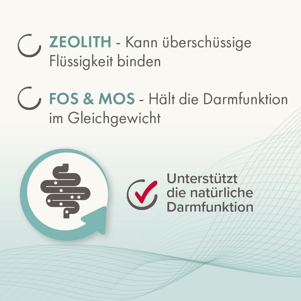 Beaphar IntestoPro Paste für Hunde, 2x20ml