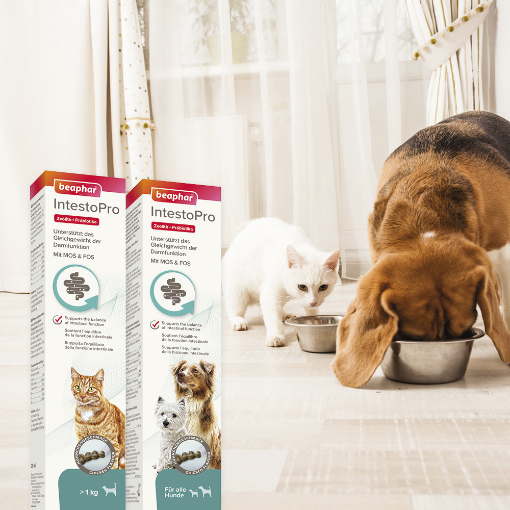 Beaphar IntestoPro Paste für Hunde, 2x20ml