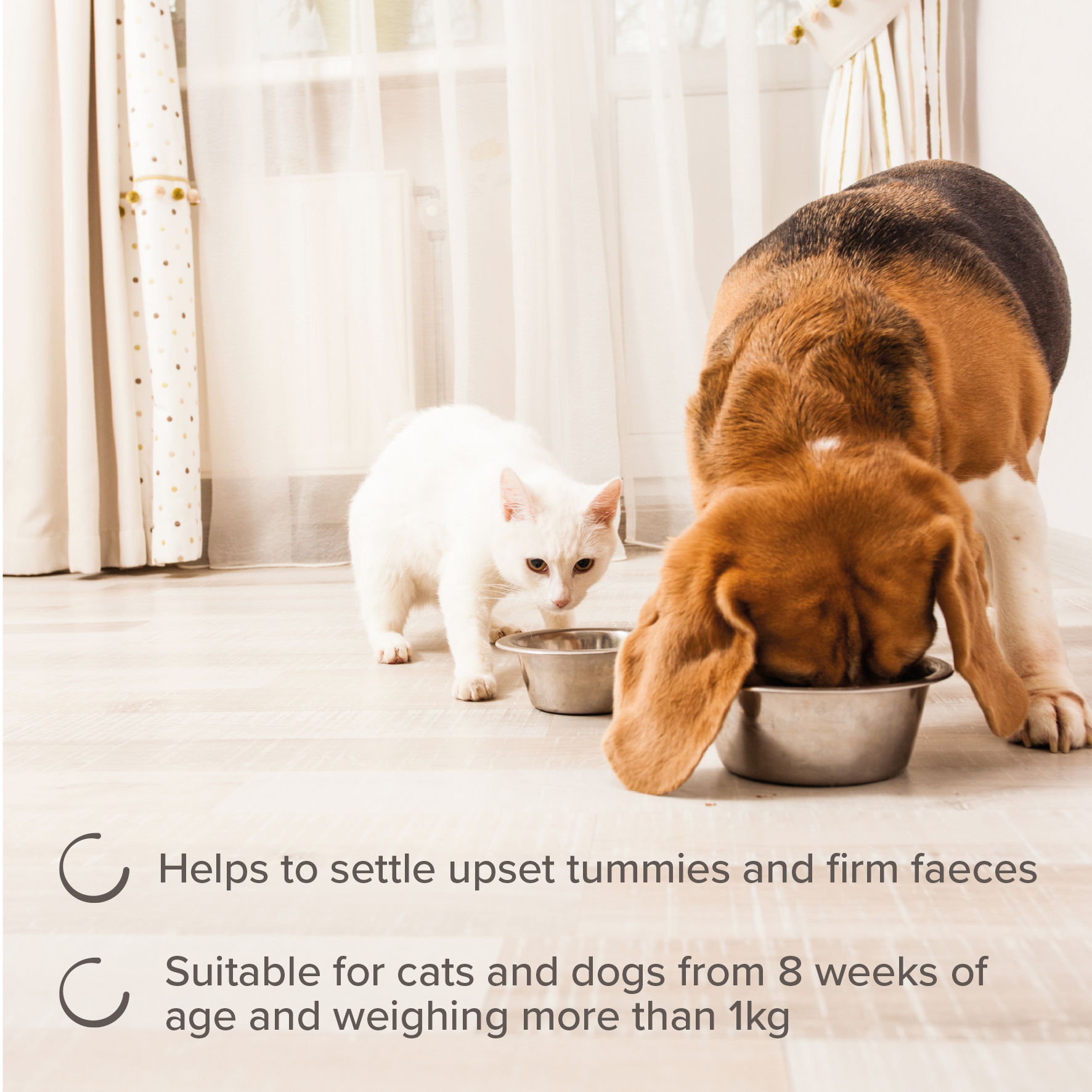 Beaphar IntestoPro Prebiotic Stool Firming Paste for Cats & Small Dogs (1-15kg)
