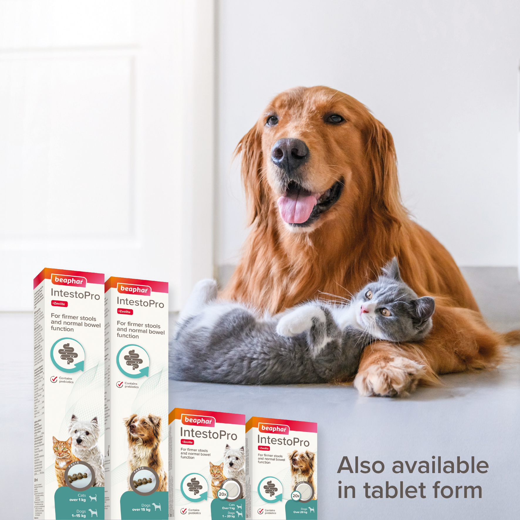 Beaphar IntestoPro Prebiotic Stool Firming Paste for Cats & Small Dogs (1-15kg)