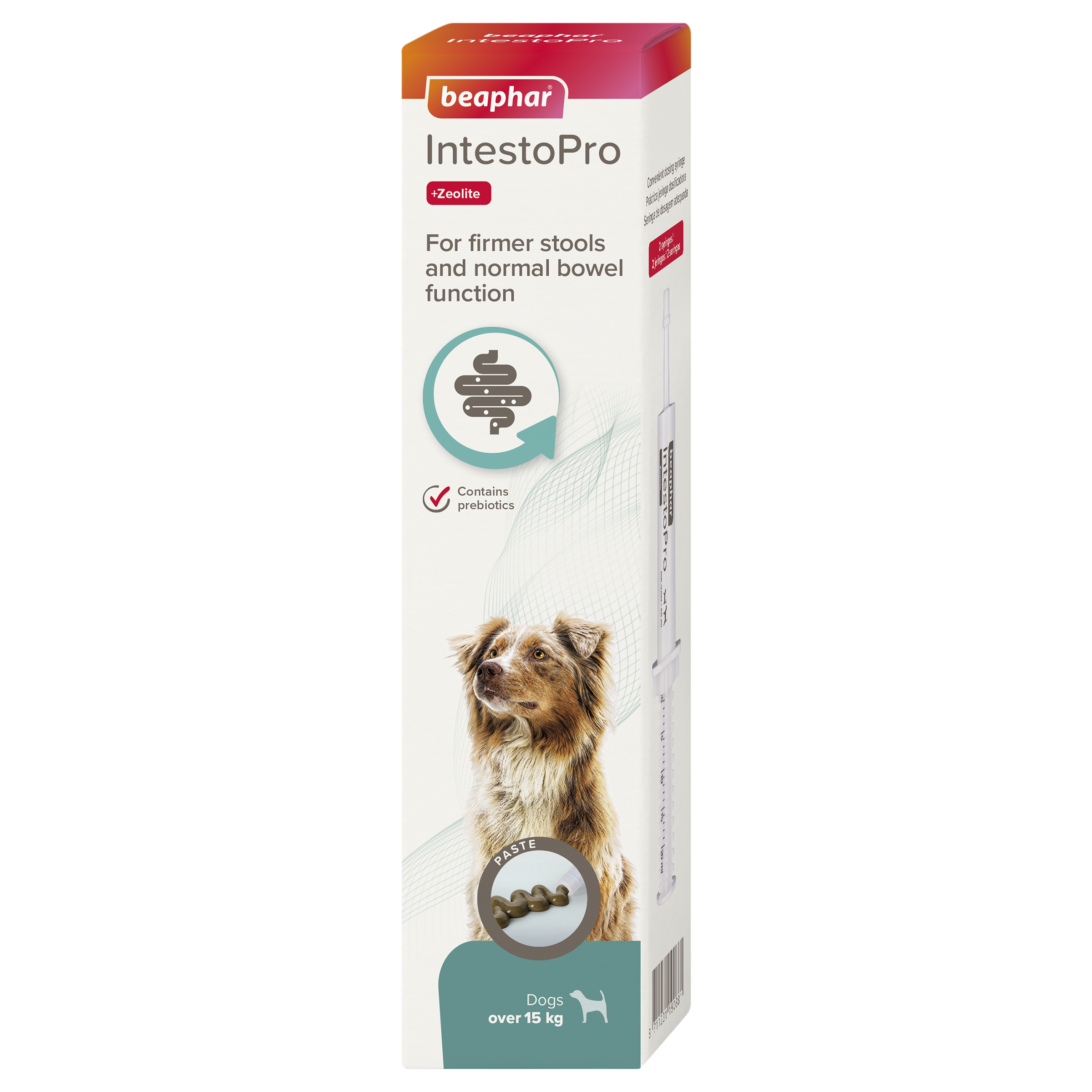 Beaphar IntestoPro Paste Medium & Large Dog