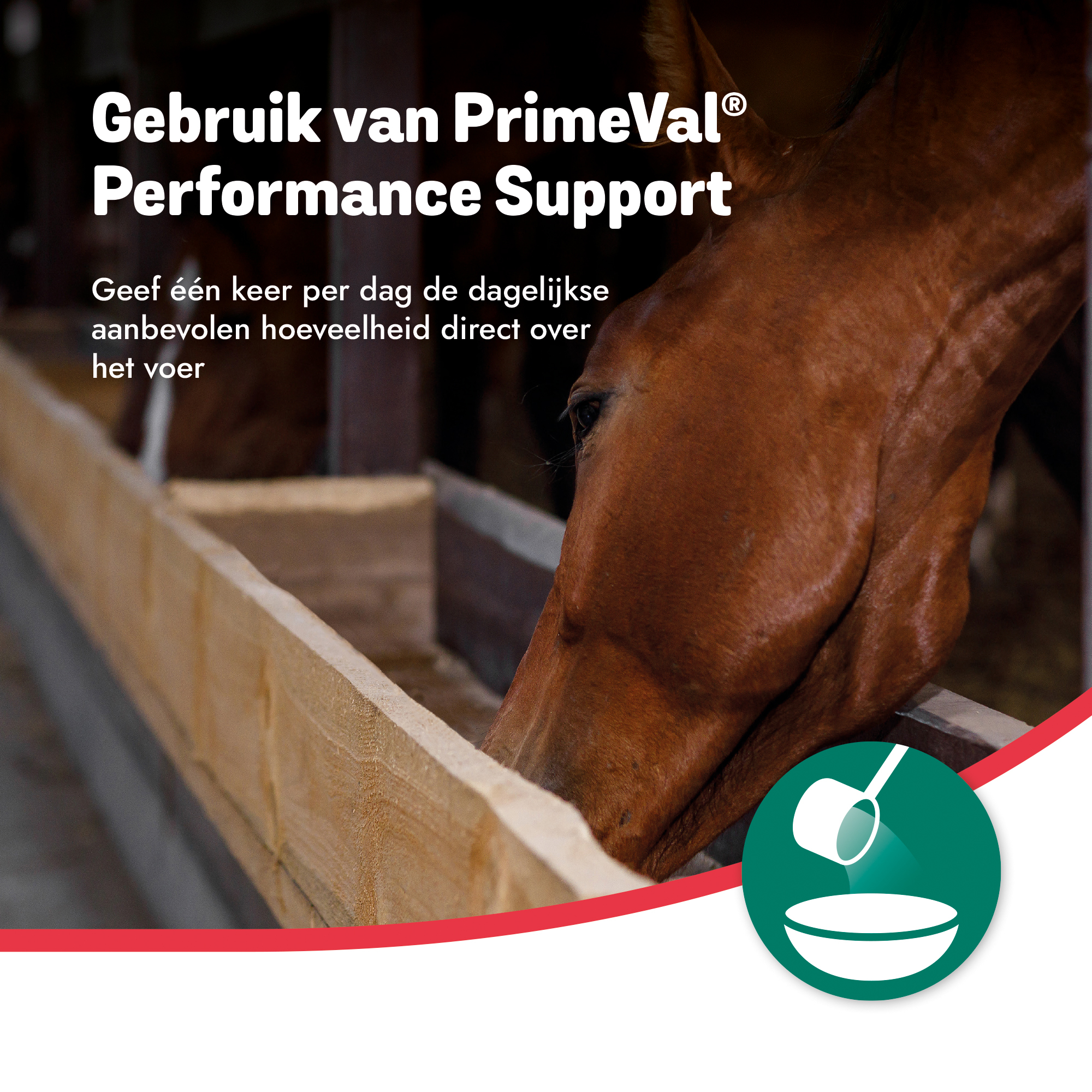 PrimeVal Performance Support 1kg