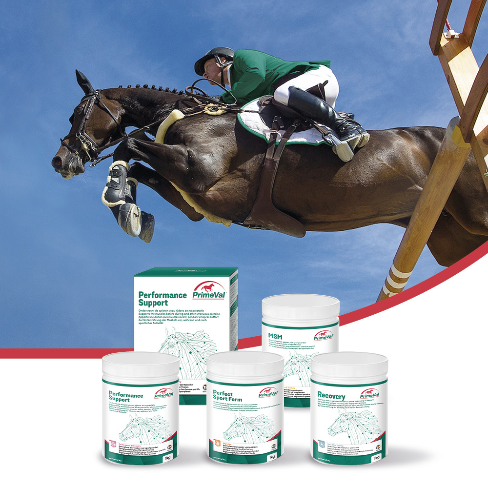 PrimeVal Performance Support 1kg