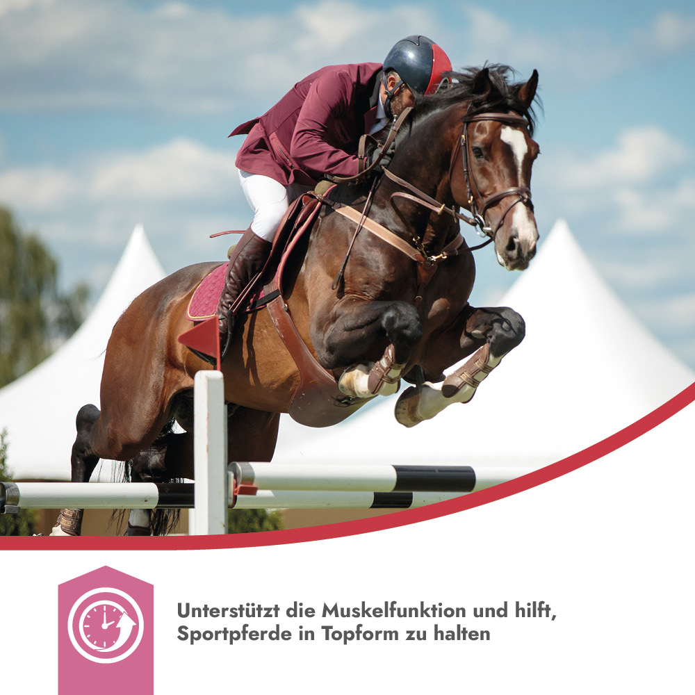 PrimeVal Performance Support 1kg