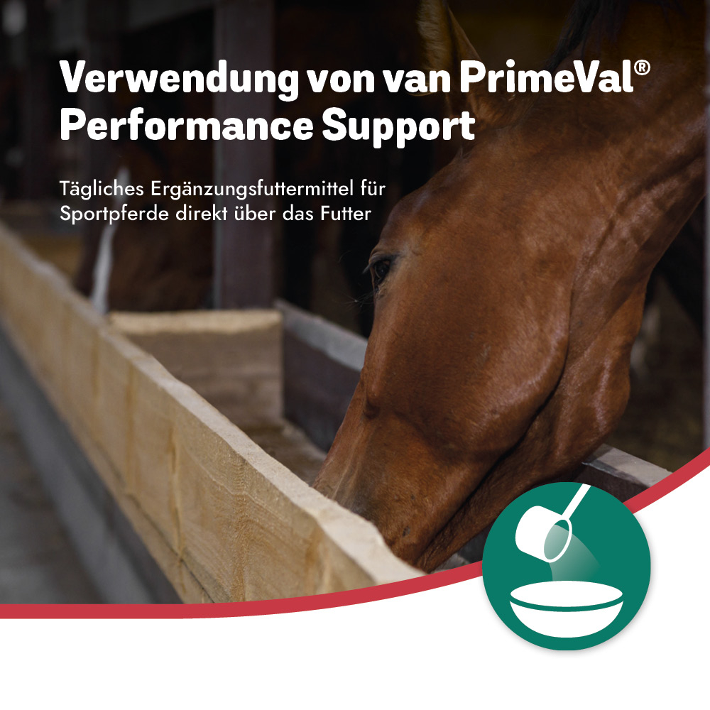 PrimeVal Performance Support 1kg