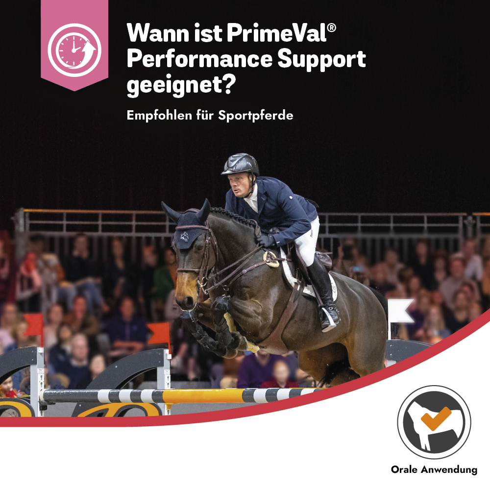 PrimeVal Performance Support 1kg