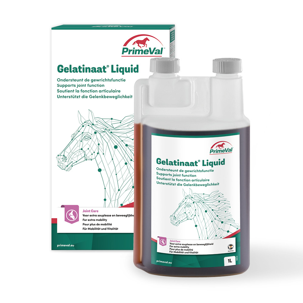 PrimeVal Gelatinaat® Liquid 1l