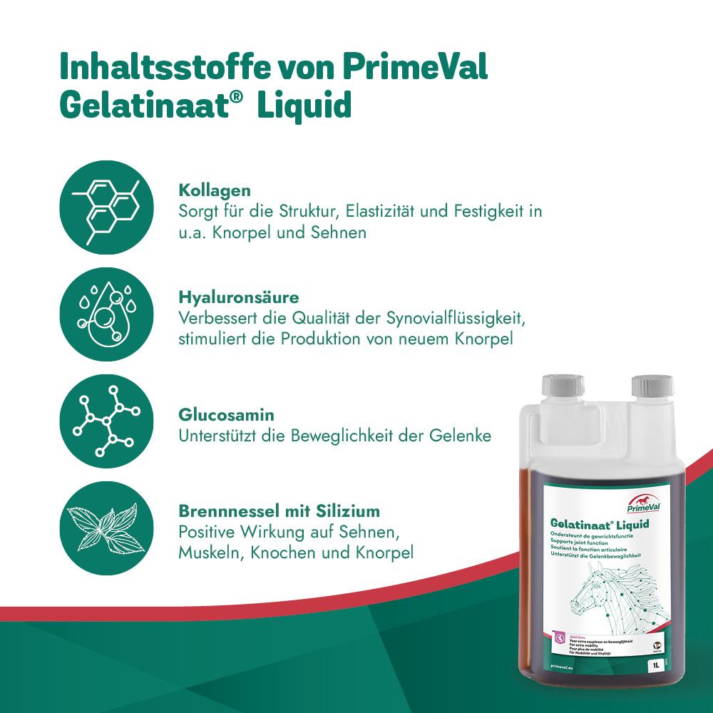PrimeVal Gelatinaat® Liquid 1l