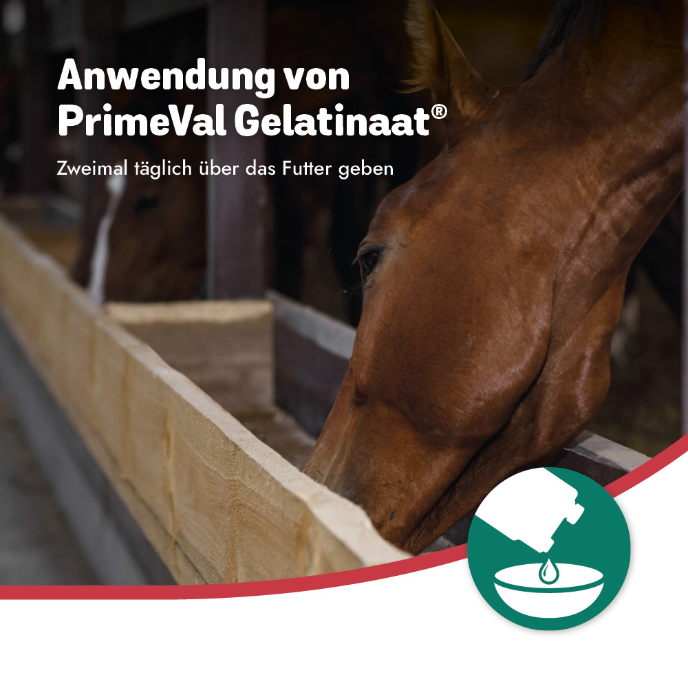 PrimeVal Gelatinaat® Liquid 1l