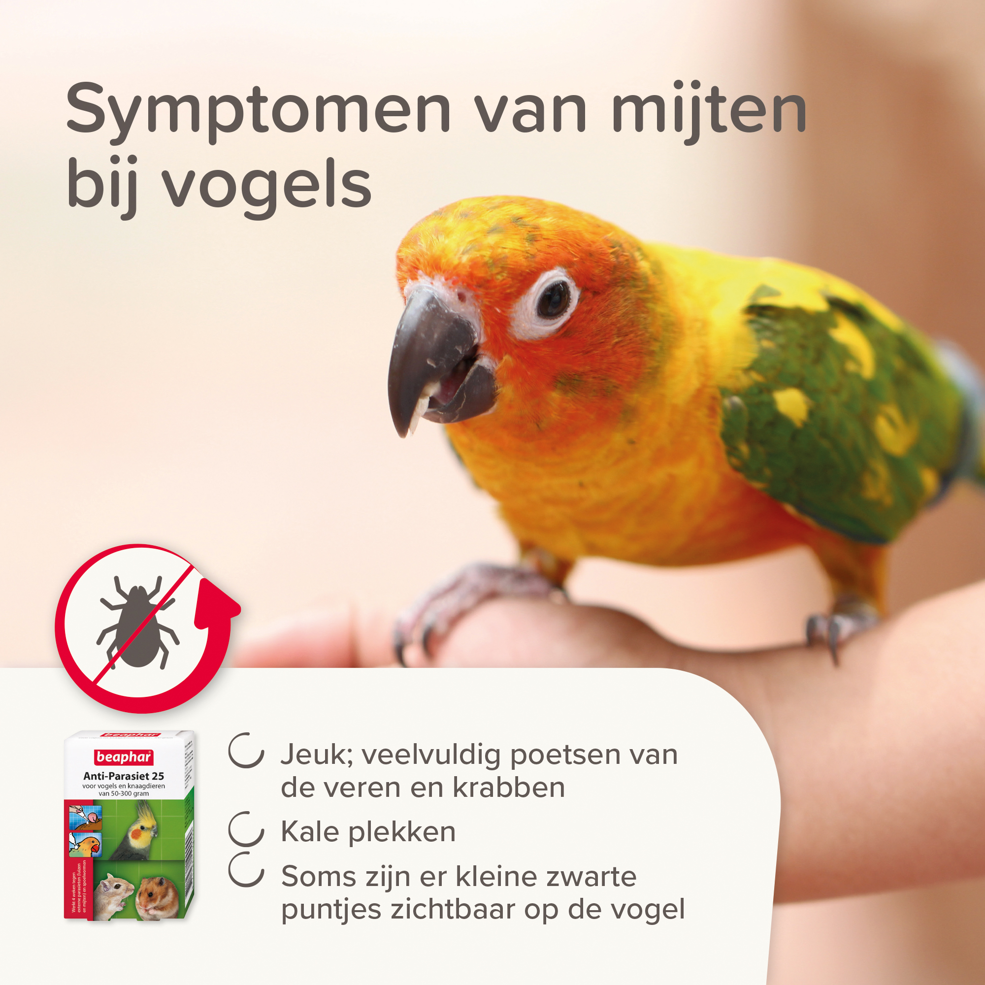 Beaphar Anti-Parasiet 25 voor vogels en knaagdieren van 50-300g
