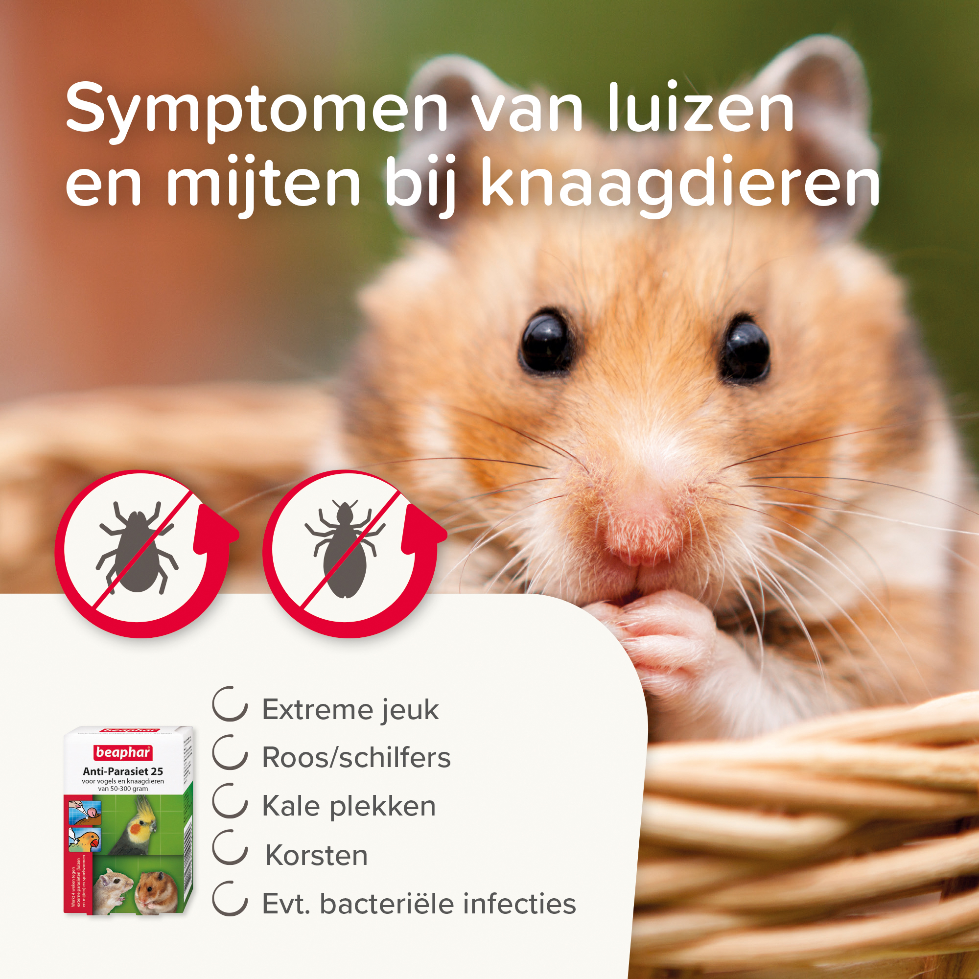 Beaphar Anti-Parasiet 25 voor vogels en knaagdieren van 50-300g