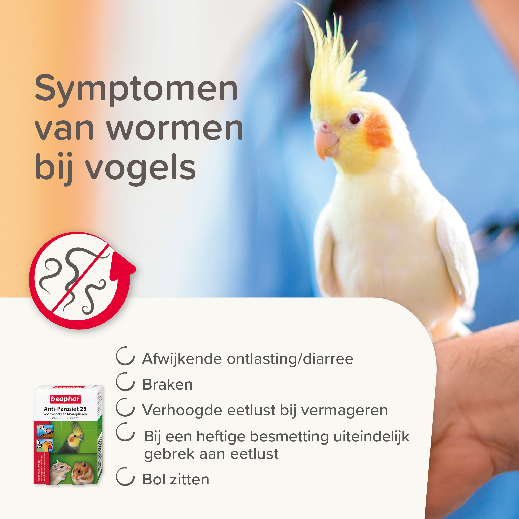 Beaphar Anti-Parasiet 25 voor vogels en knaagdieren van 50-300g