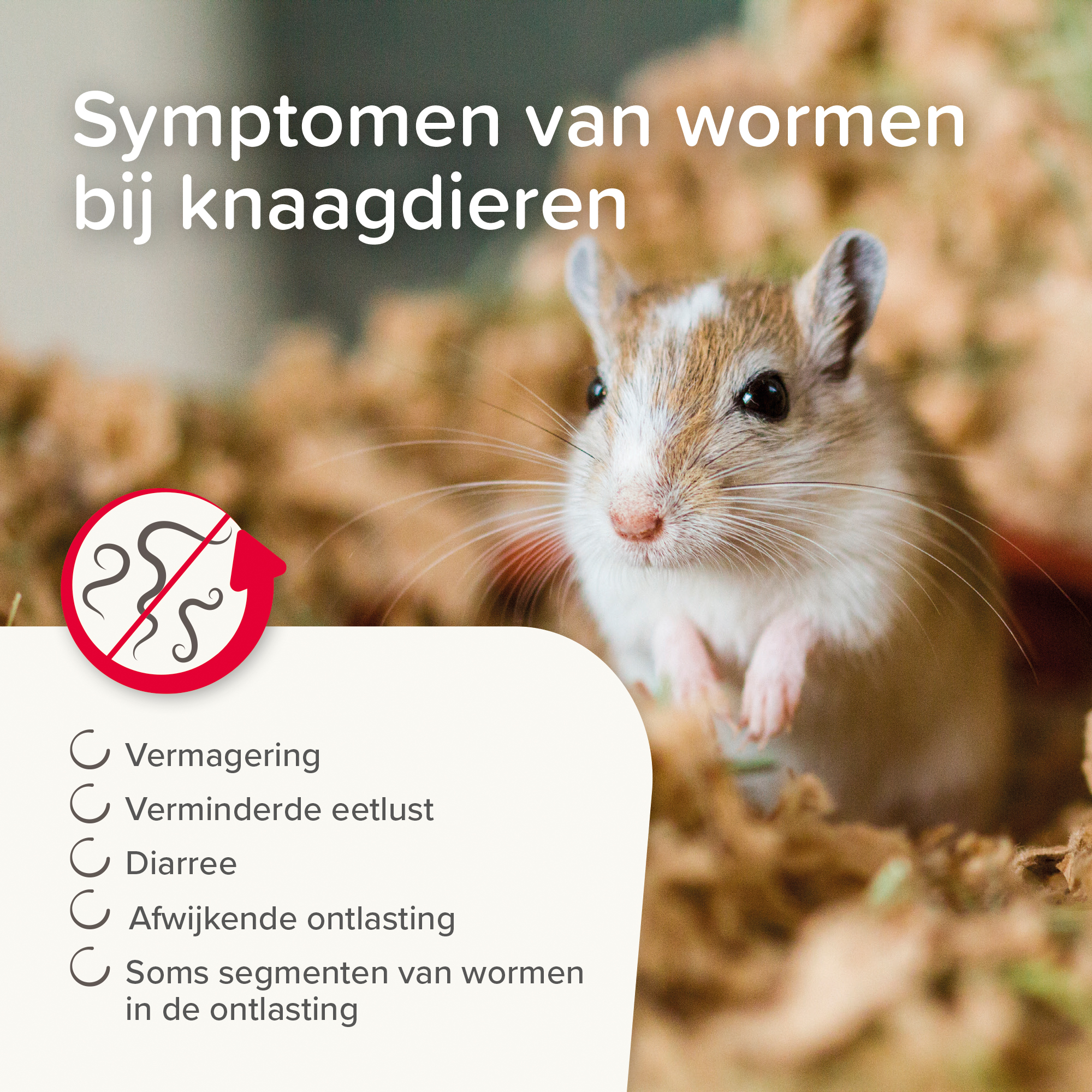 Beaphar Anti-Parasiet 25 voor vogels en knaagdieren van 50-300g