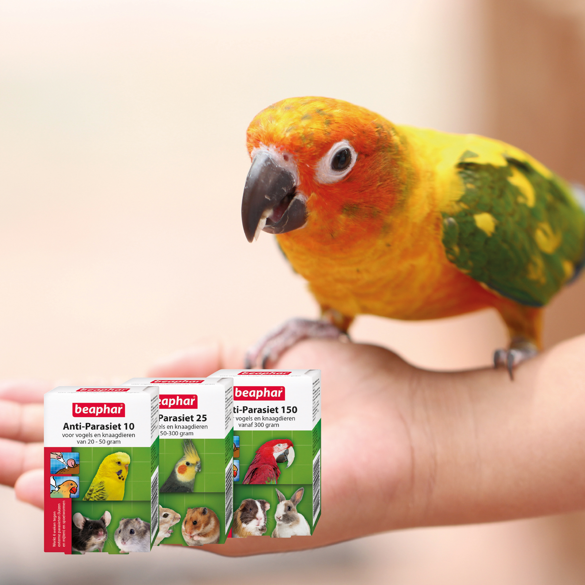 Beaphar Anti-Parasiet 25 voor vogels en knaagdieren van 50-300g