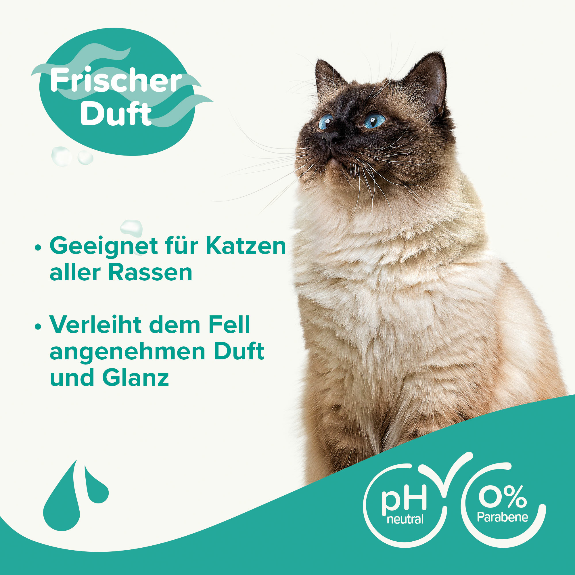 Beaphar Shampoo für Katzen, 250ml