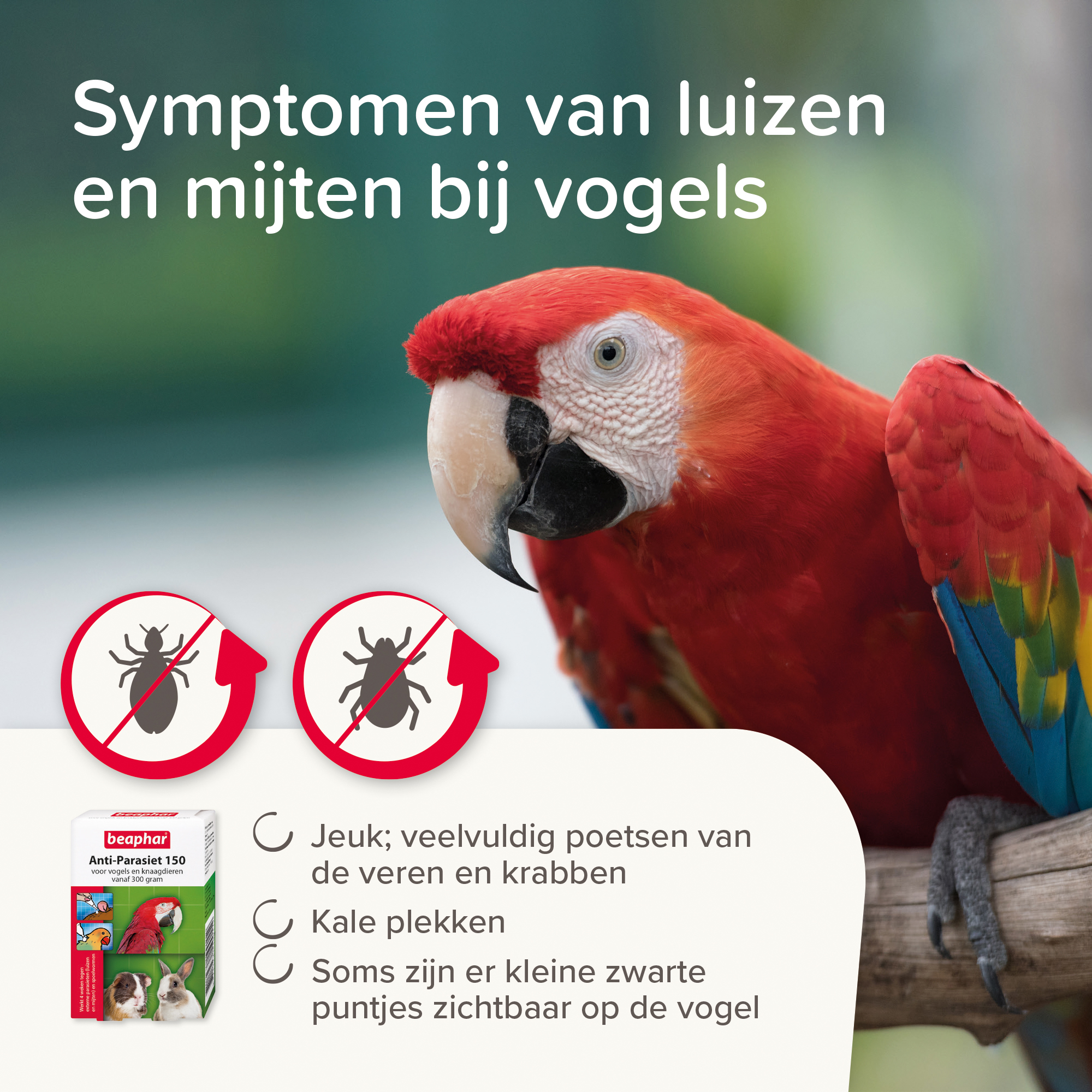 Beaphar Anti-Parasiet 150 voor vogels en knaagdieren vanaf 300 gram