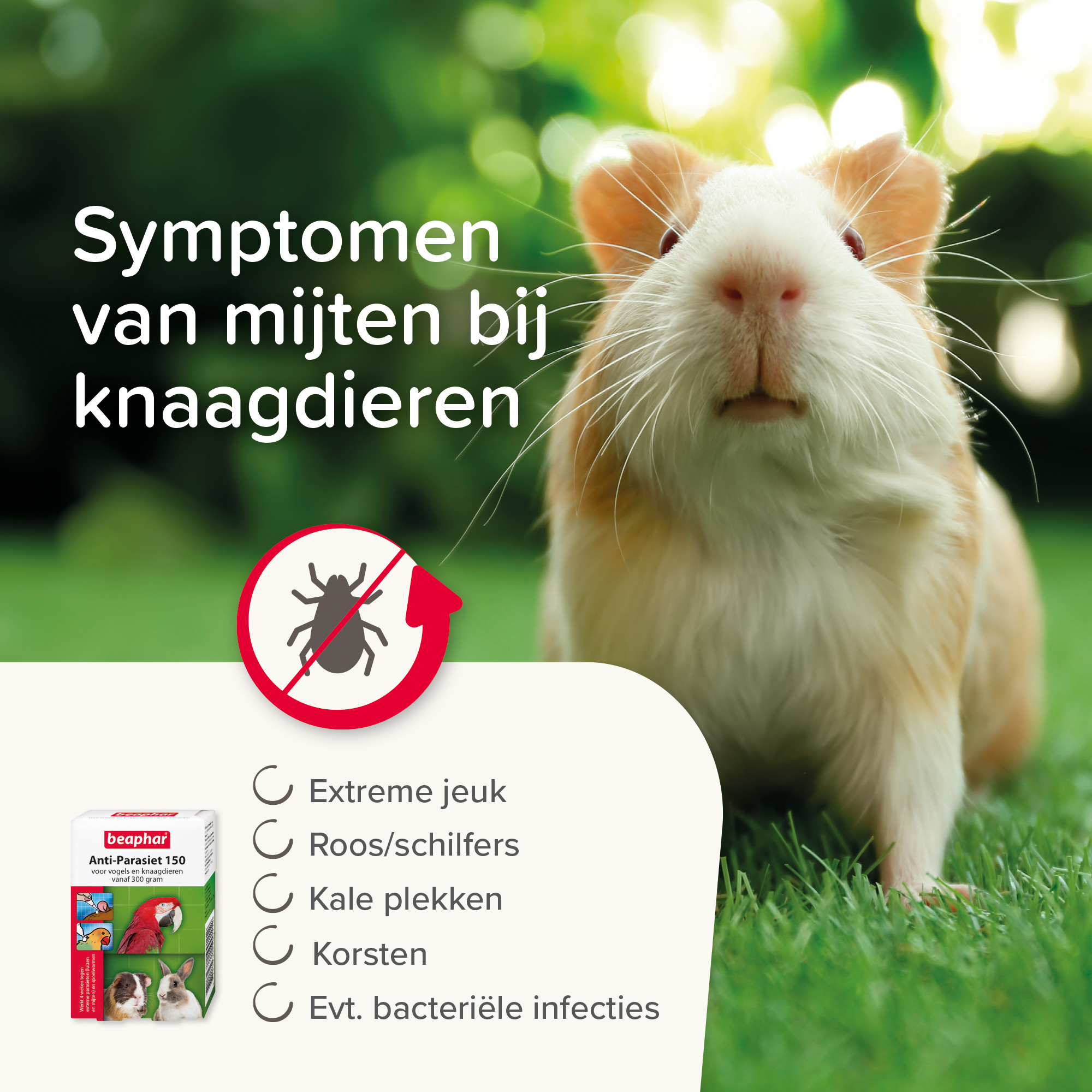 Beaphar Anti-Parasiet 150 voor vogels en knaagdieren vanaf 300 gram