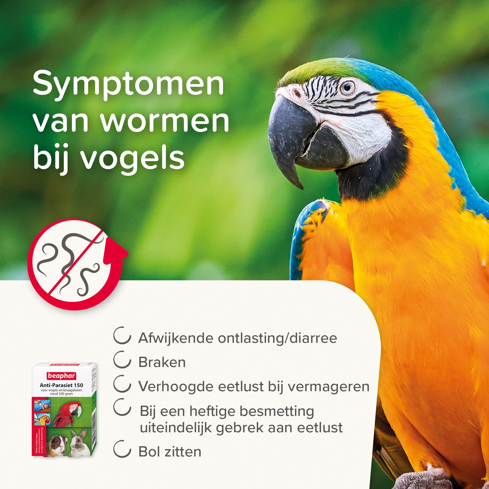 Beaphar Anti-Parasiet 150 voor vogels en knaagdieren vanaf 300 gram