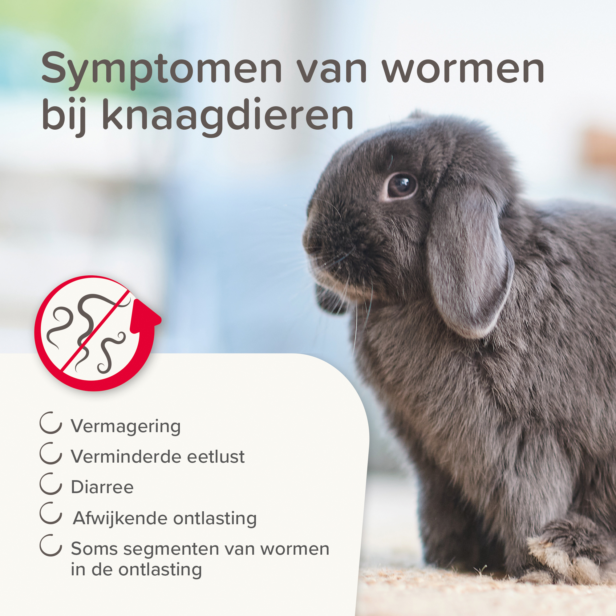 Beaphar Anti-Parasiet 150 voor vogels en knaagdieren vanaf 300 gram