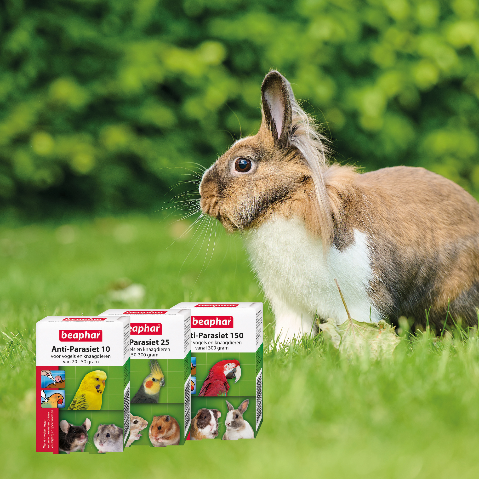 Beaphar Anti-Parasiet 150 voor vogels en knaagdieren vanaf 300 gram