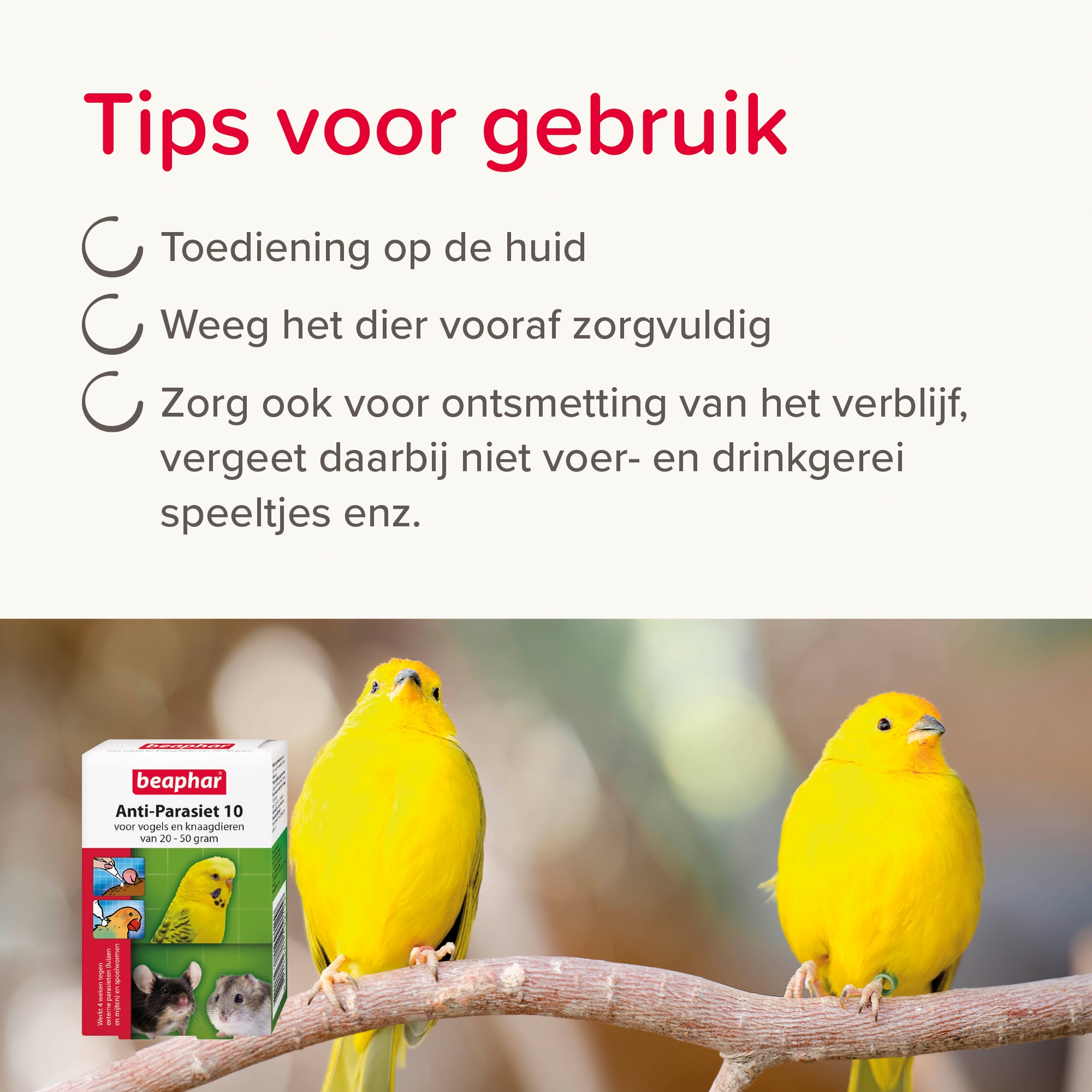 Beaphar Anti-Parasiet 10 voor vogels en knaagdieren van 20-50 gram