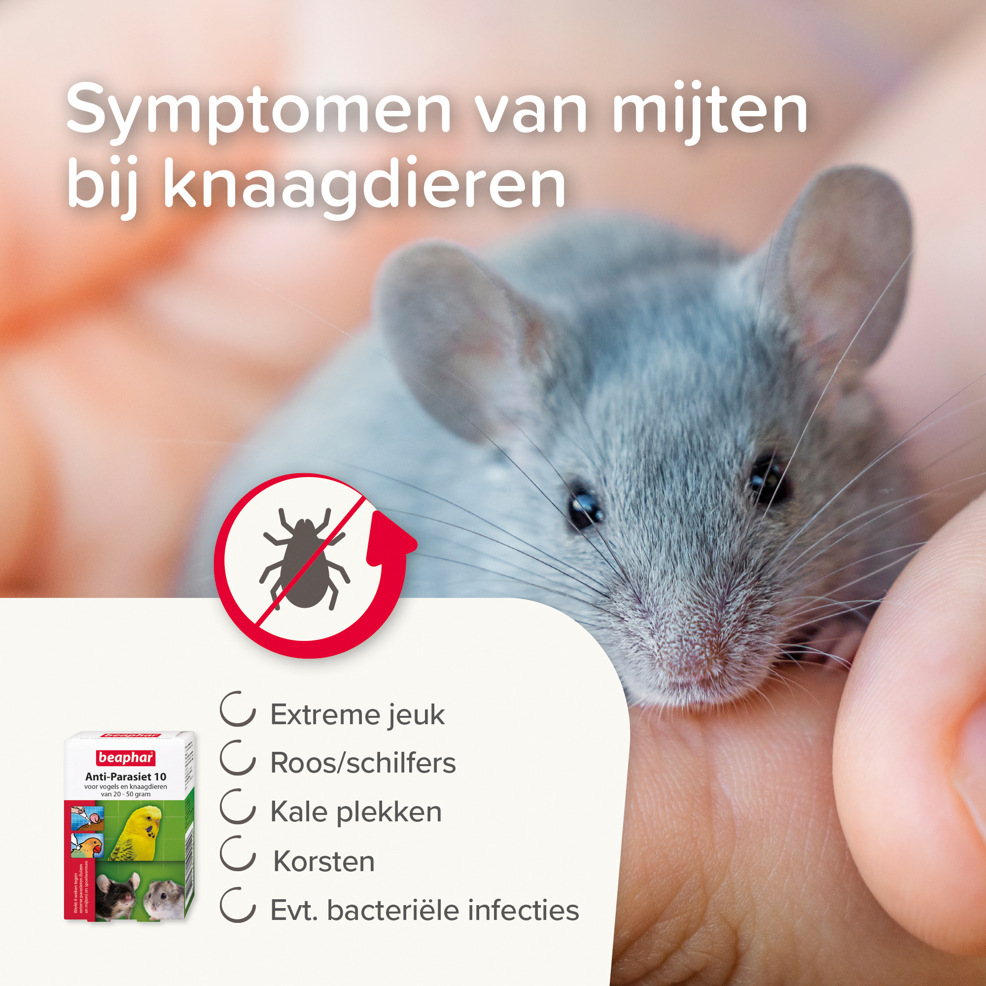 Beaphar Anti-Parasiet 10 voor vogels en knaagdieren van 20-50 gram