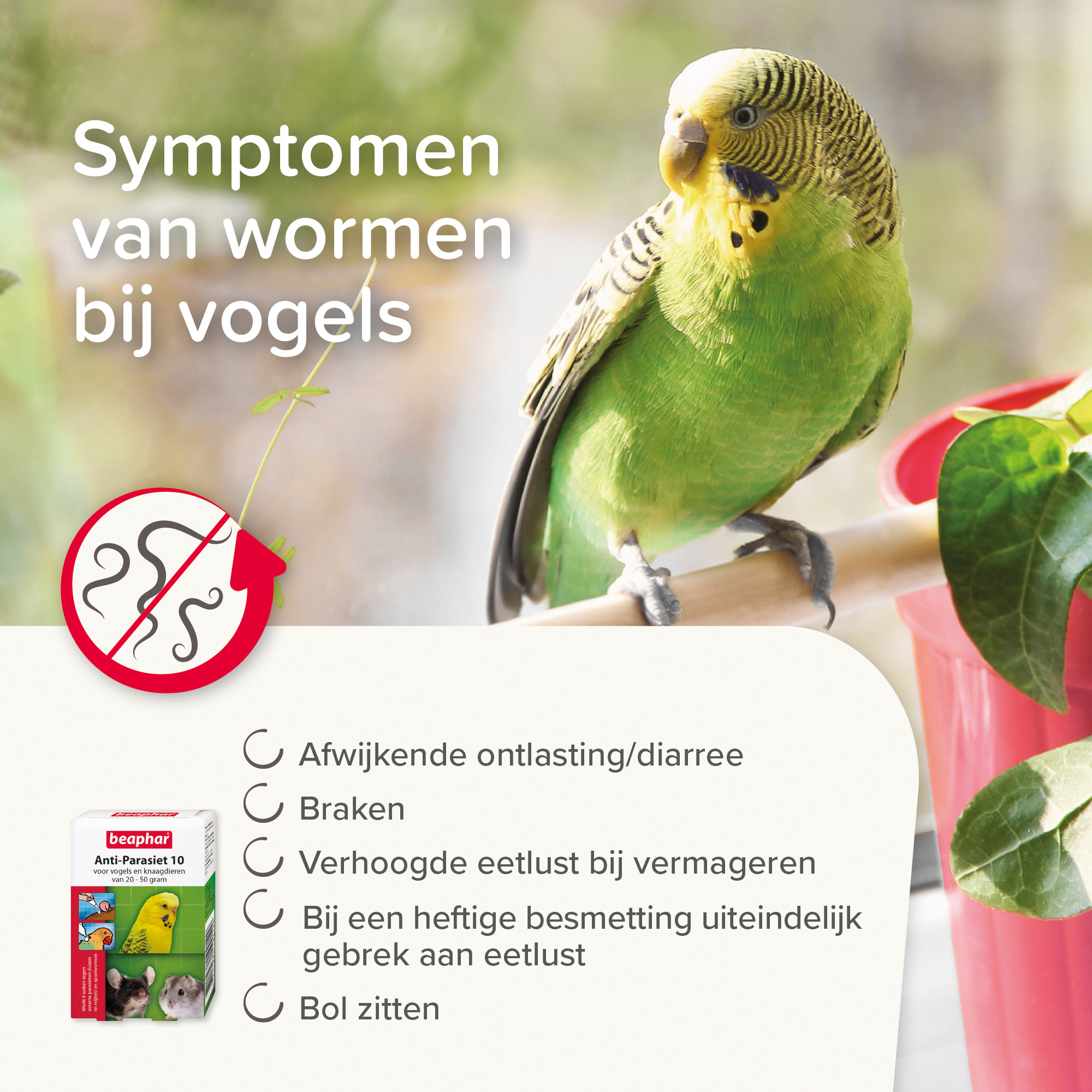 Beaphar Anti-Parasiet 10 voor vogels en knaagdieren van 20-50 gram