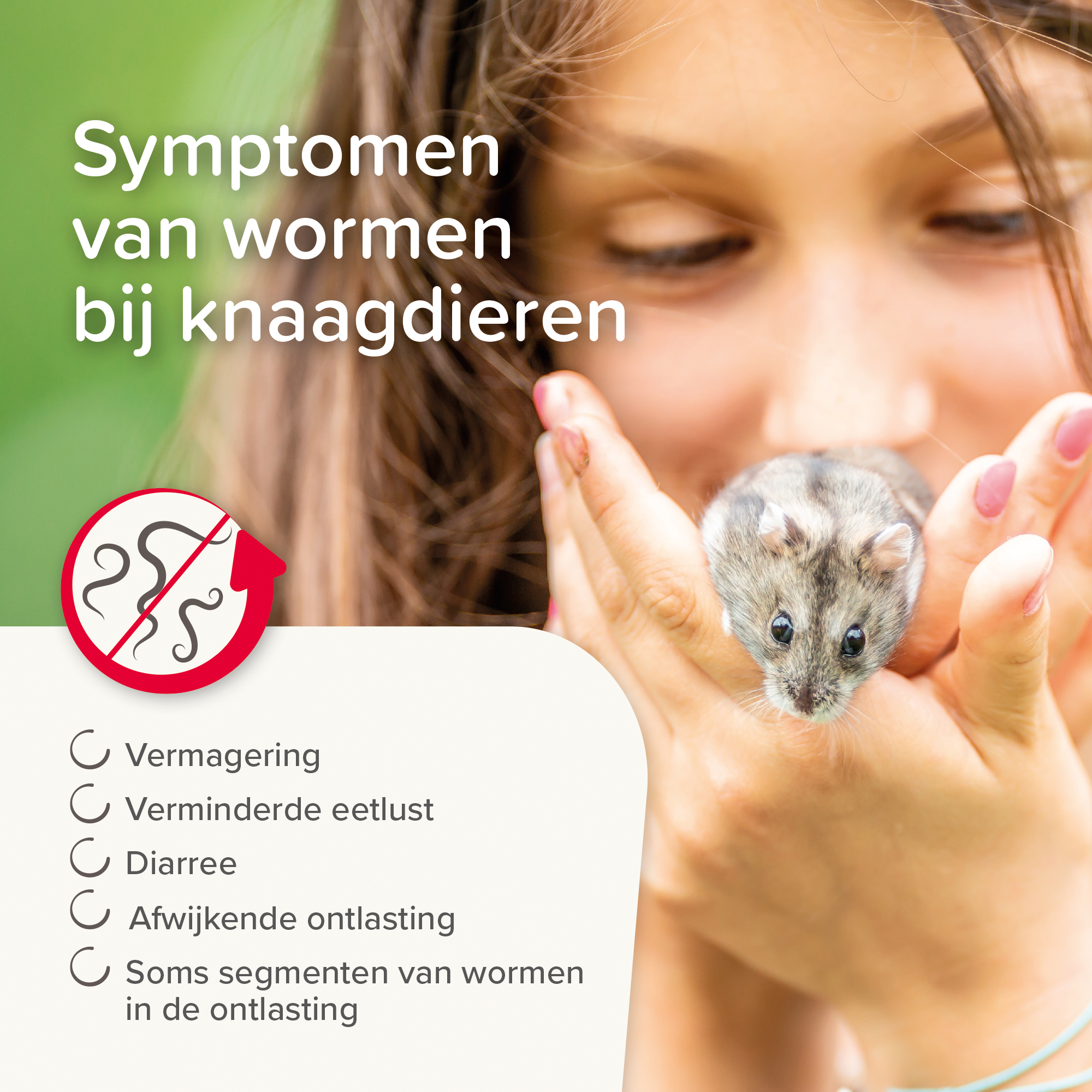 Beaphar Anti-Parasiet 10 voor vogels en knaagdieren van 20-50 gram