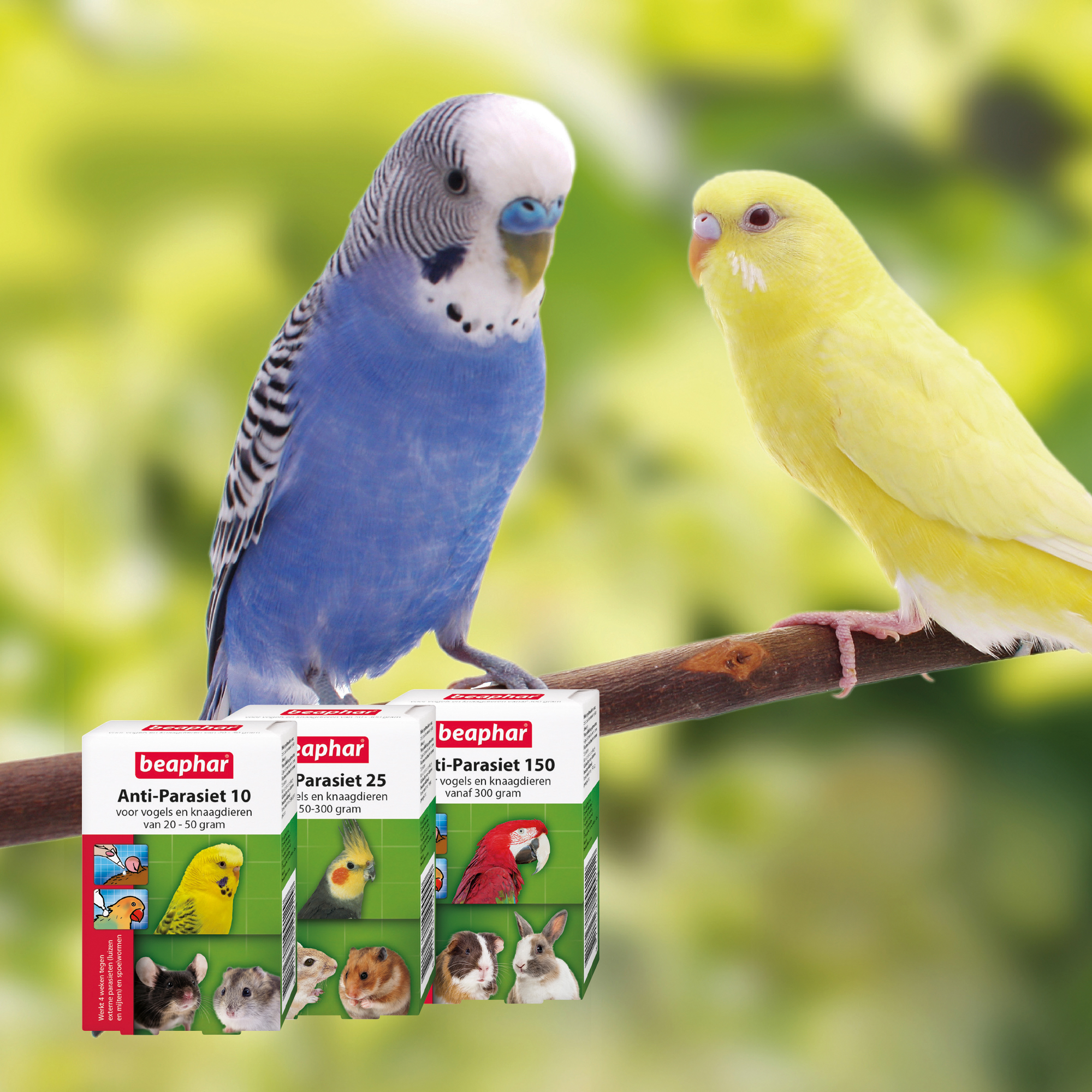 Beaphar Anti-Parasiet 10 voor vogels en knaagdieren van 20-50 gram