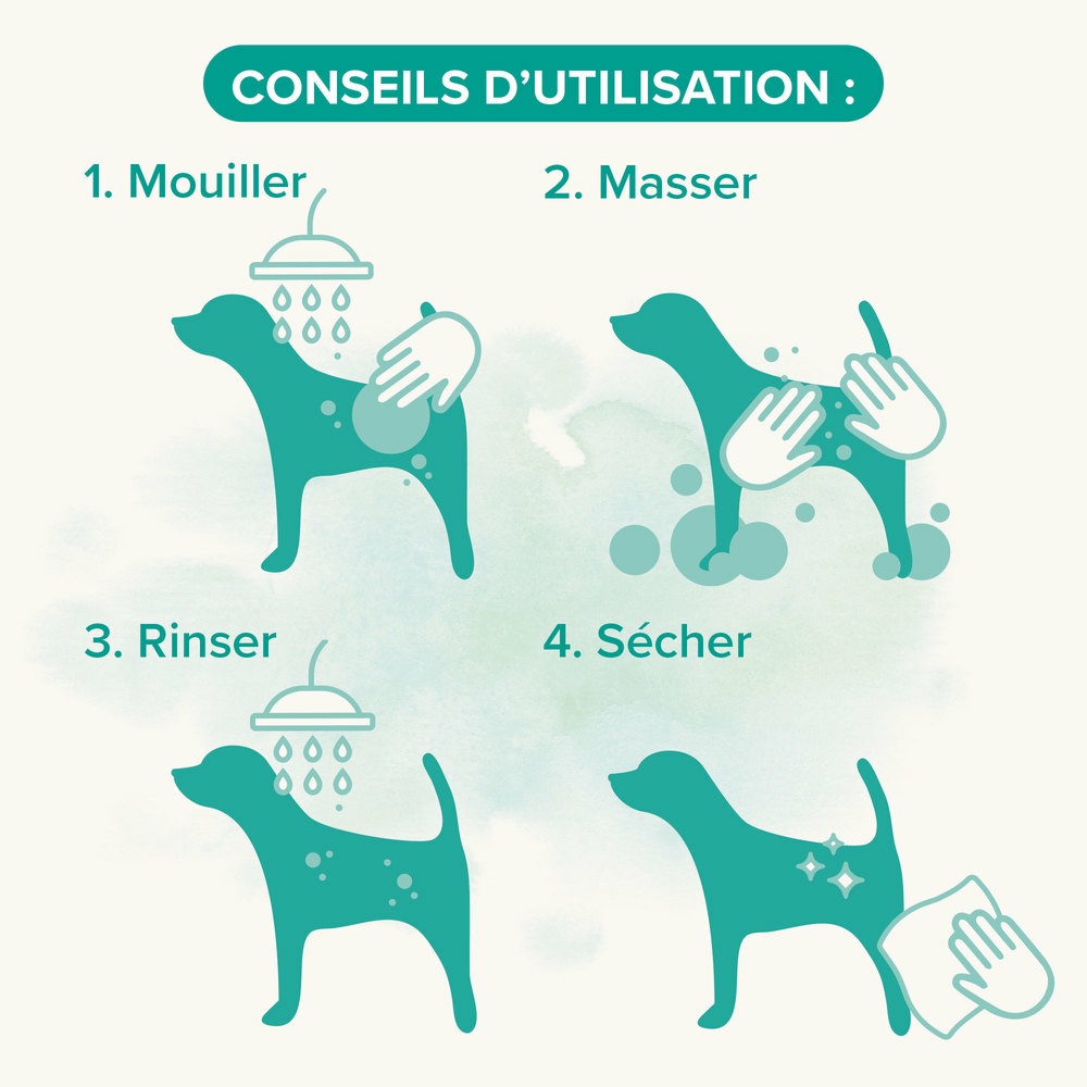 Shampooing Universel Essentiel pour chien - 250 ml