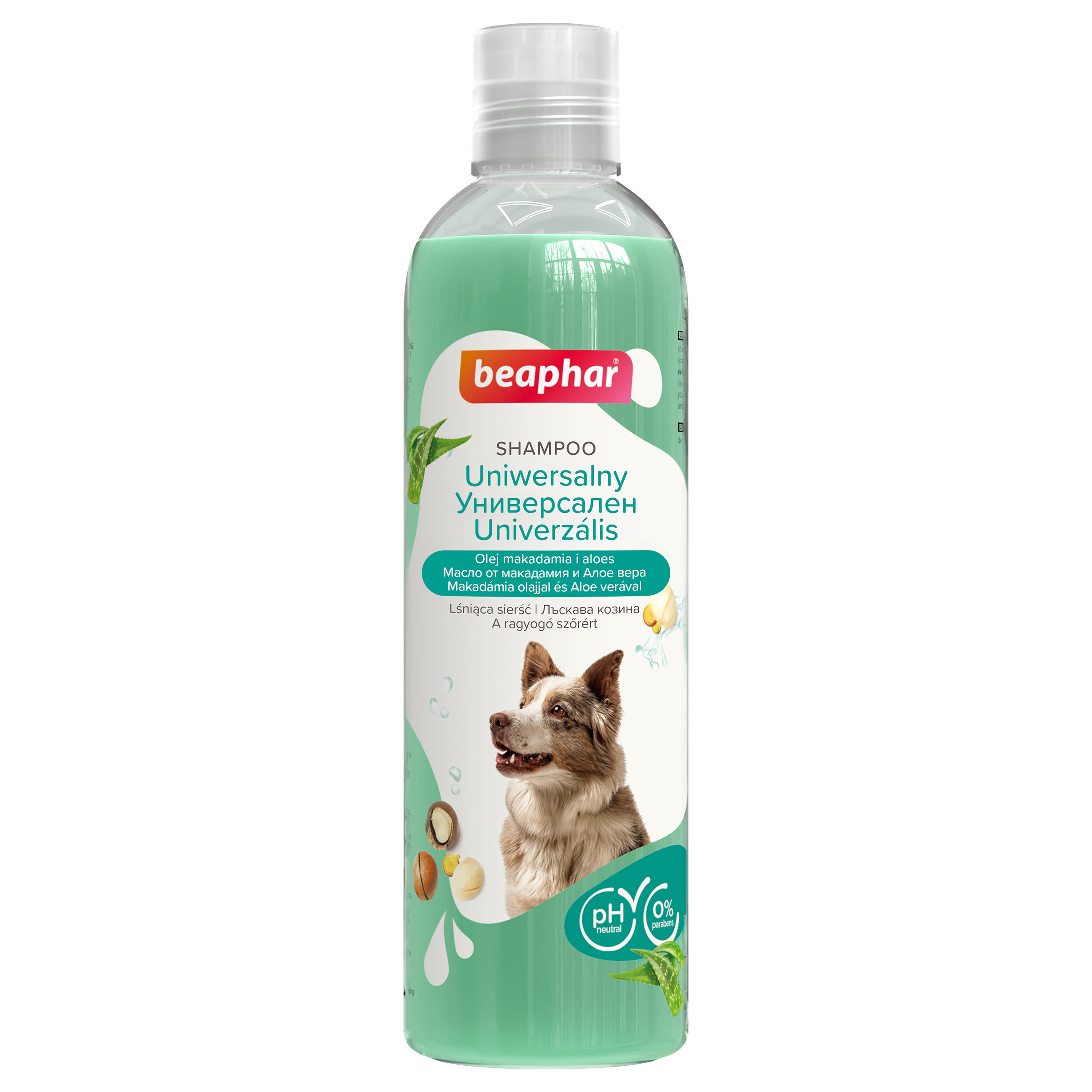 Univerzális sampon kutyáknak makadámia olajjal