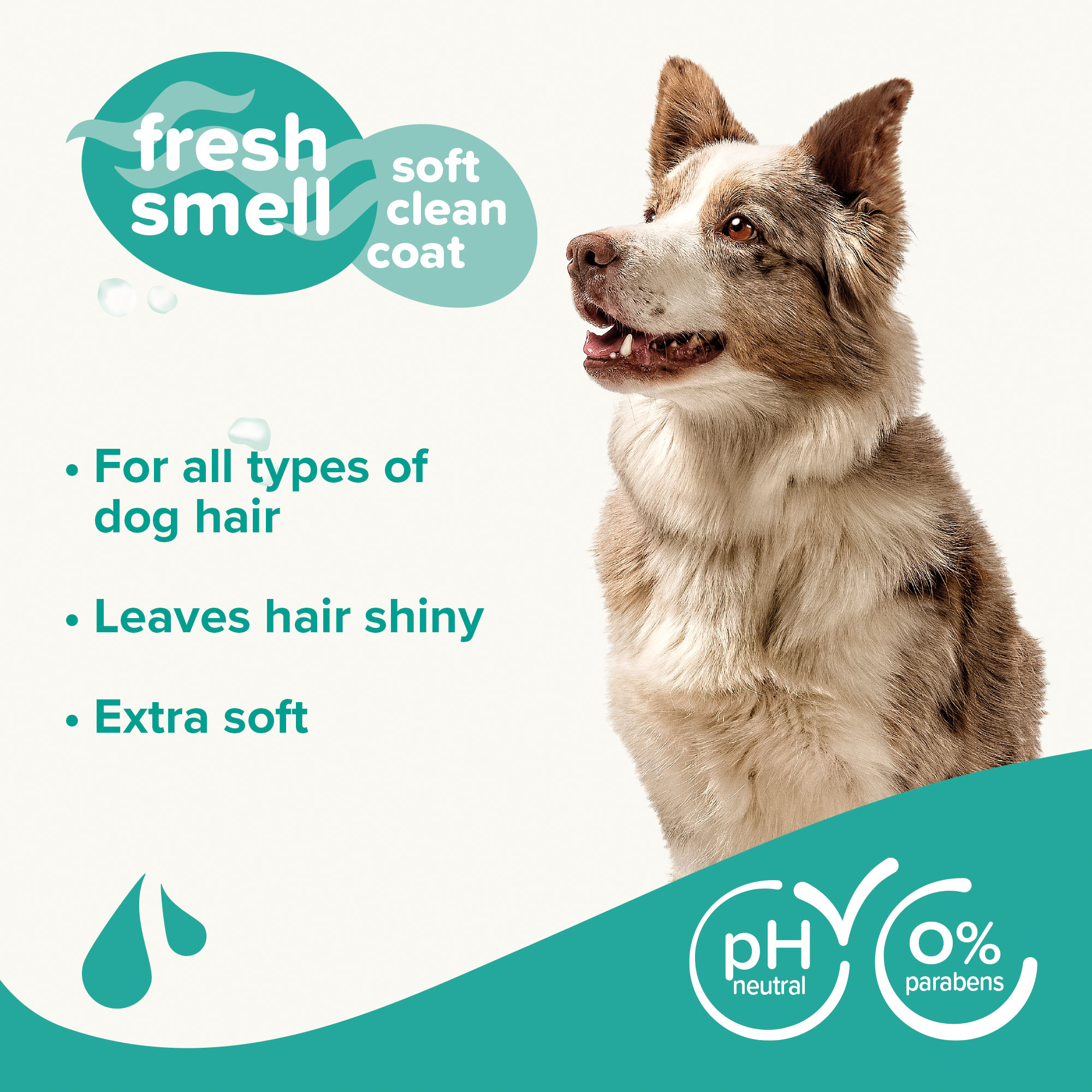 Universal Dog Shampoo with Macadamia Oil & Aloe vera - 250ml