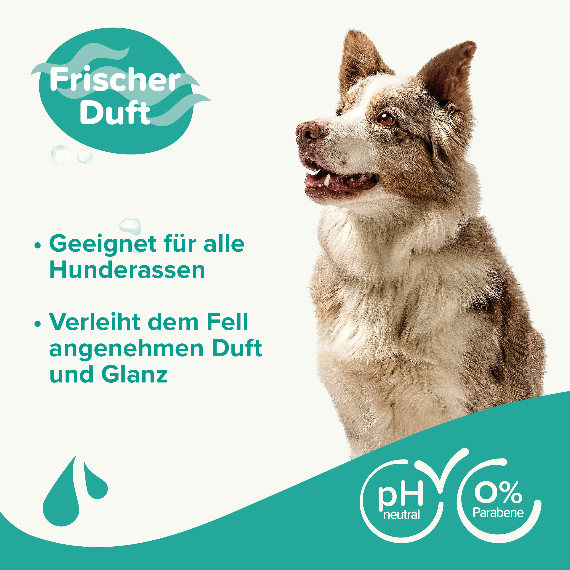 Beaphar Hundeshampoo Fellglanz, 250ml